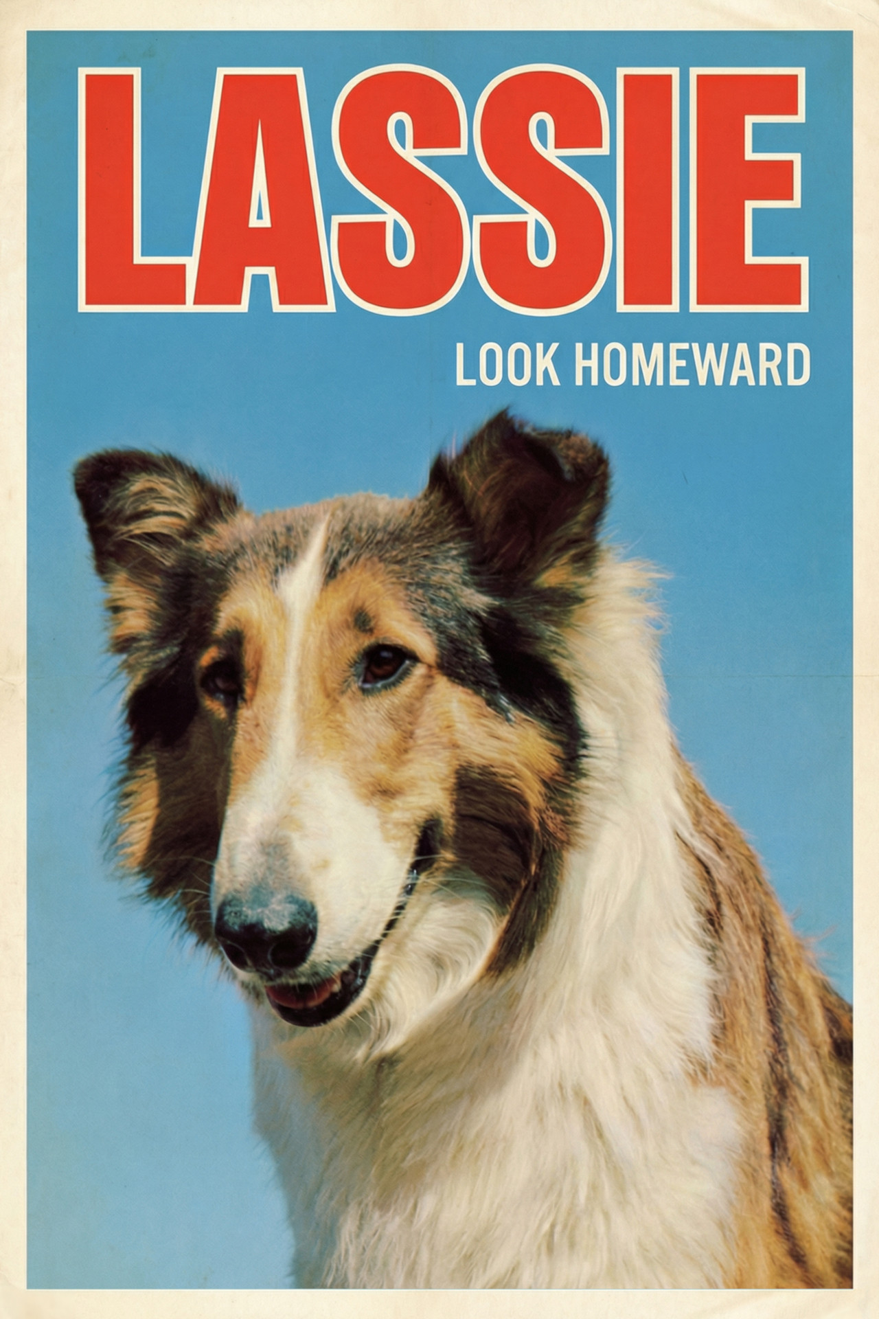 Pôster de Look Homeward