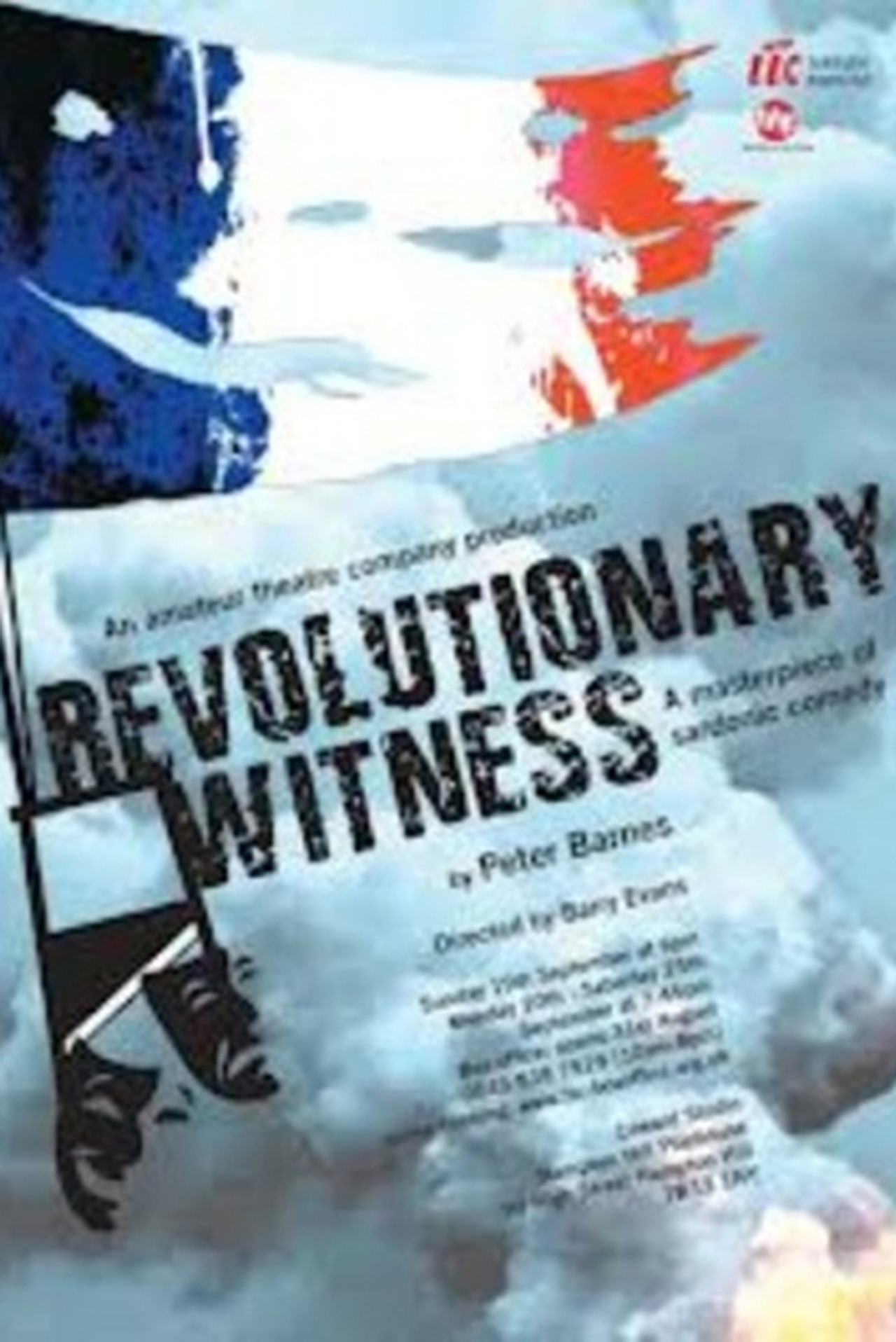 Pôster de Revolutionary Witness