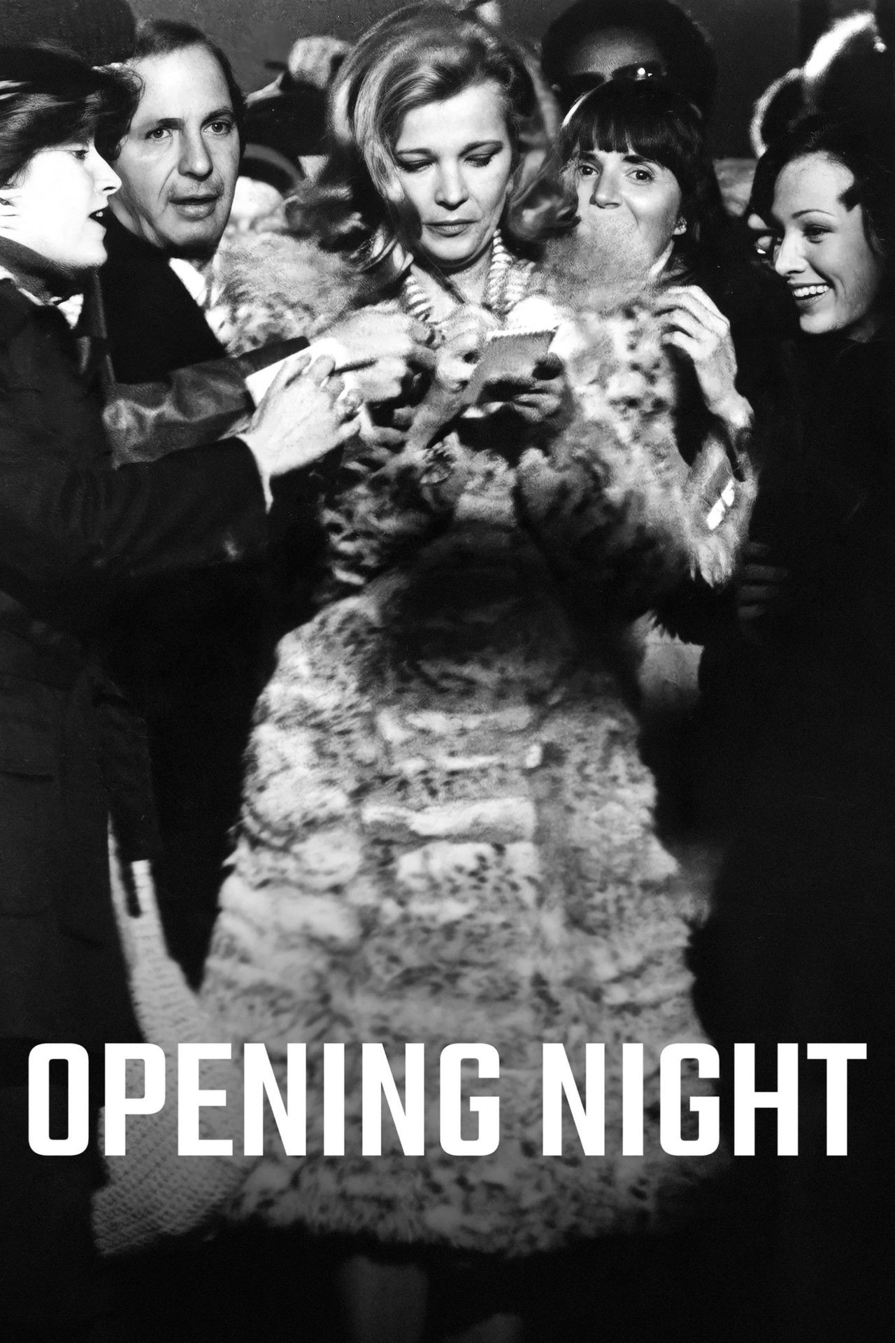 Pôster de Opening Night