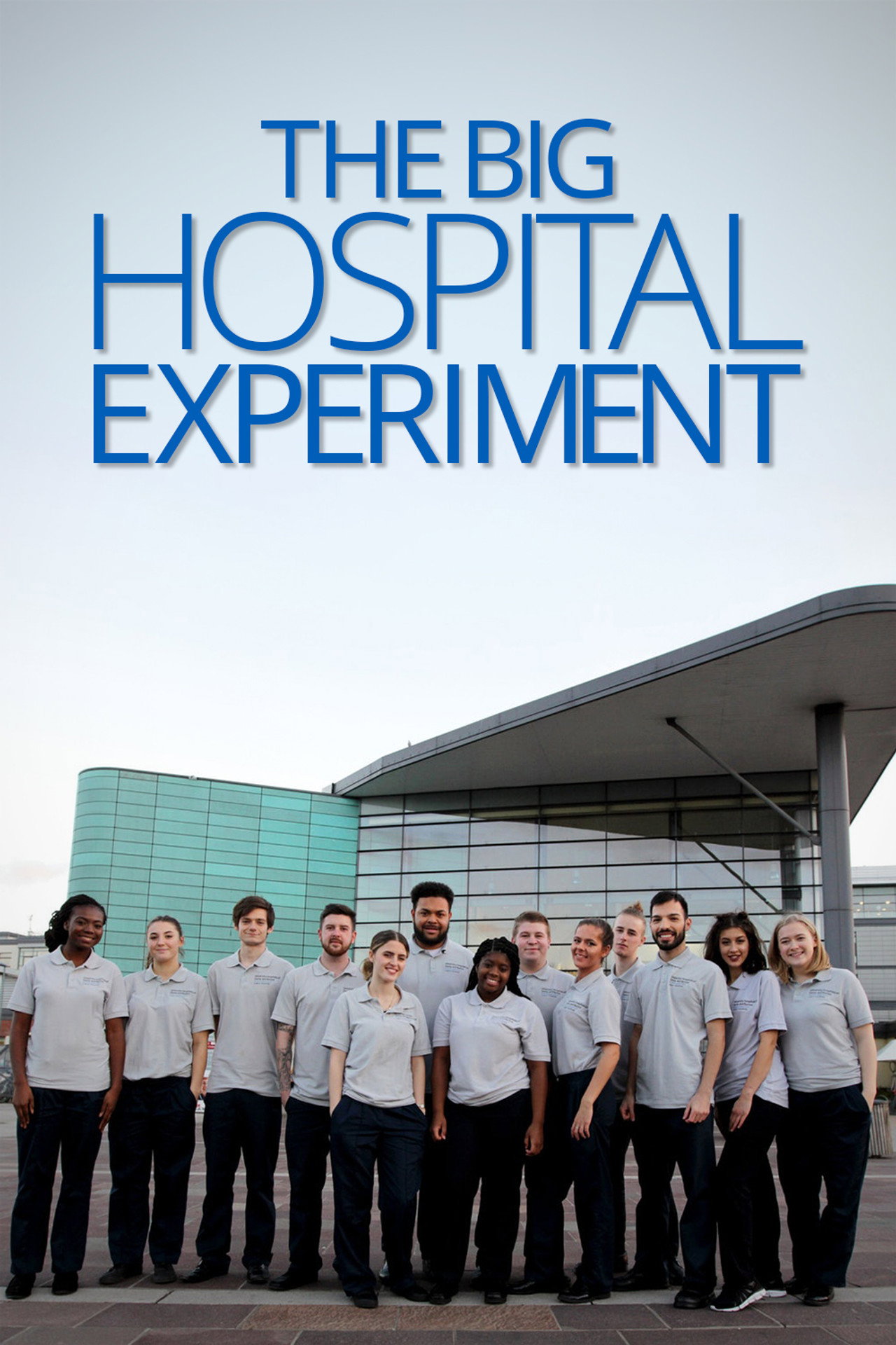 Pôster de The Big Hospital Experiment