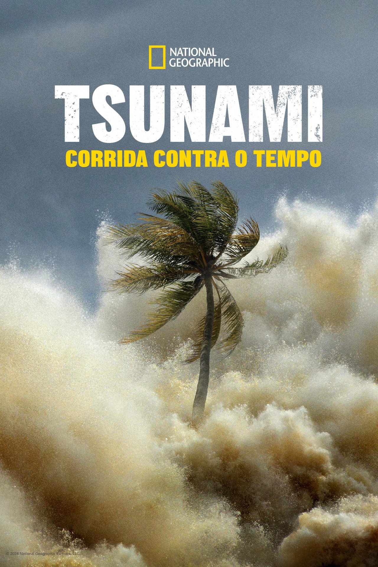 Pôster de Tsunami: Corrida Contra o Tempo