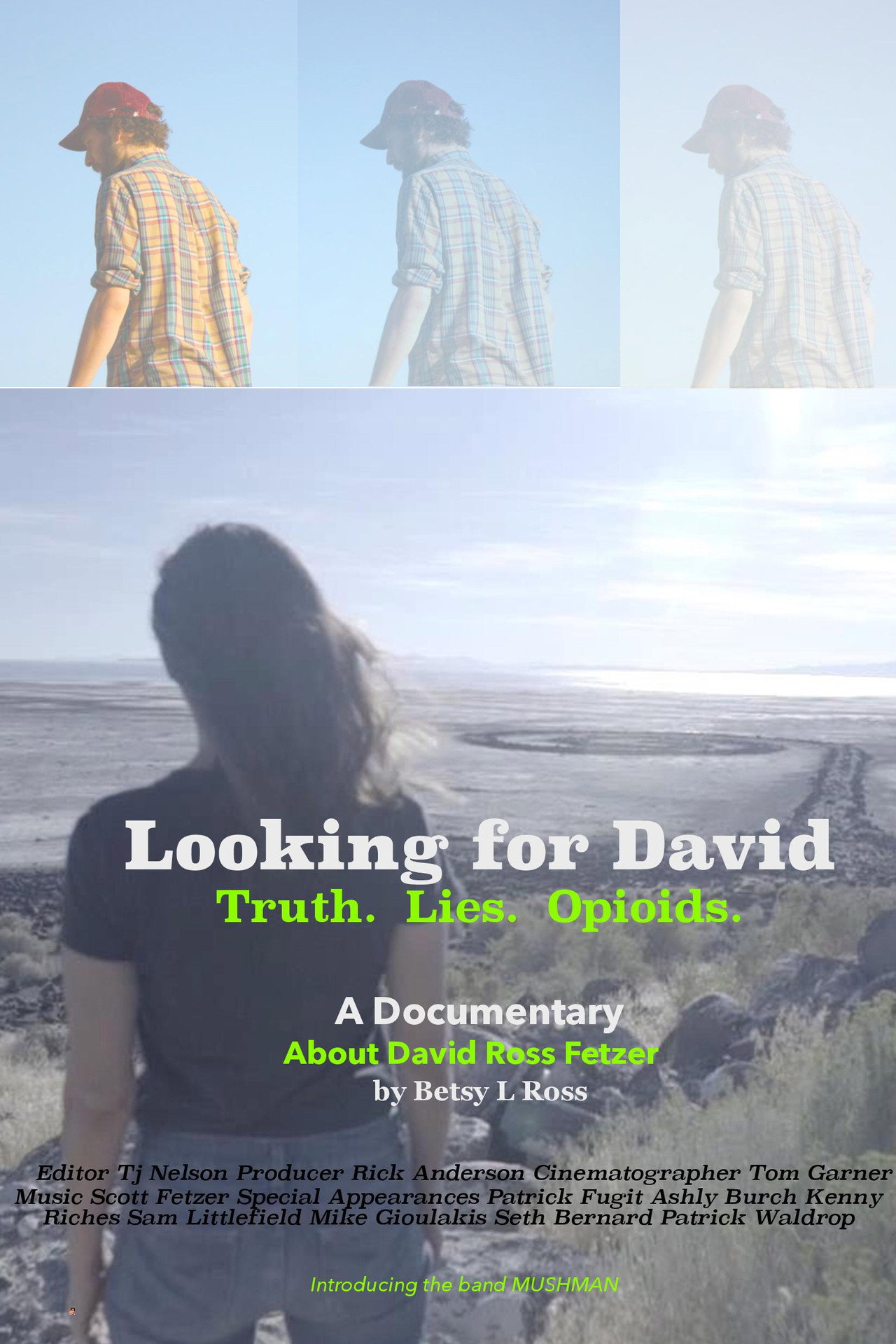 Pôster de Looking for David
