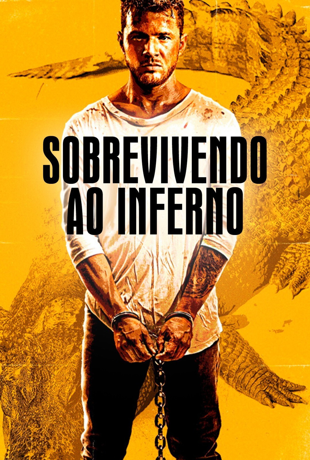 Pôster de Sobrevivendo ao Inferno
