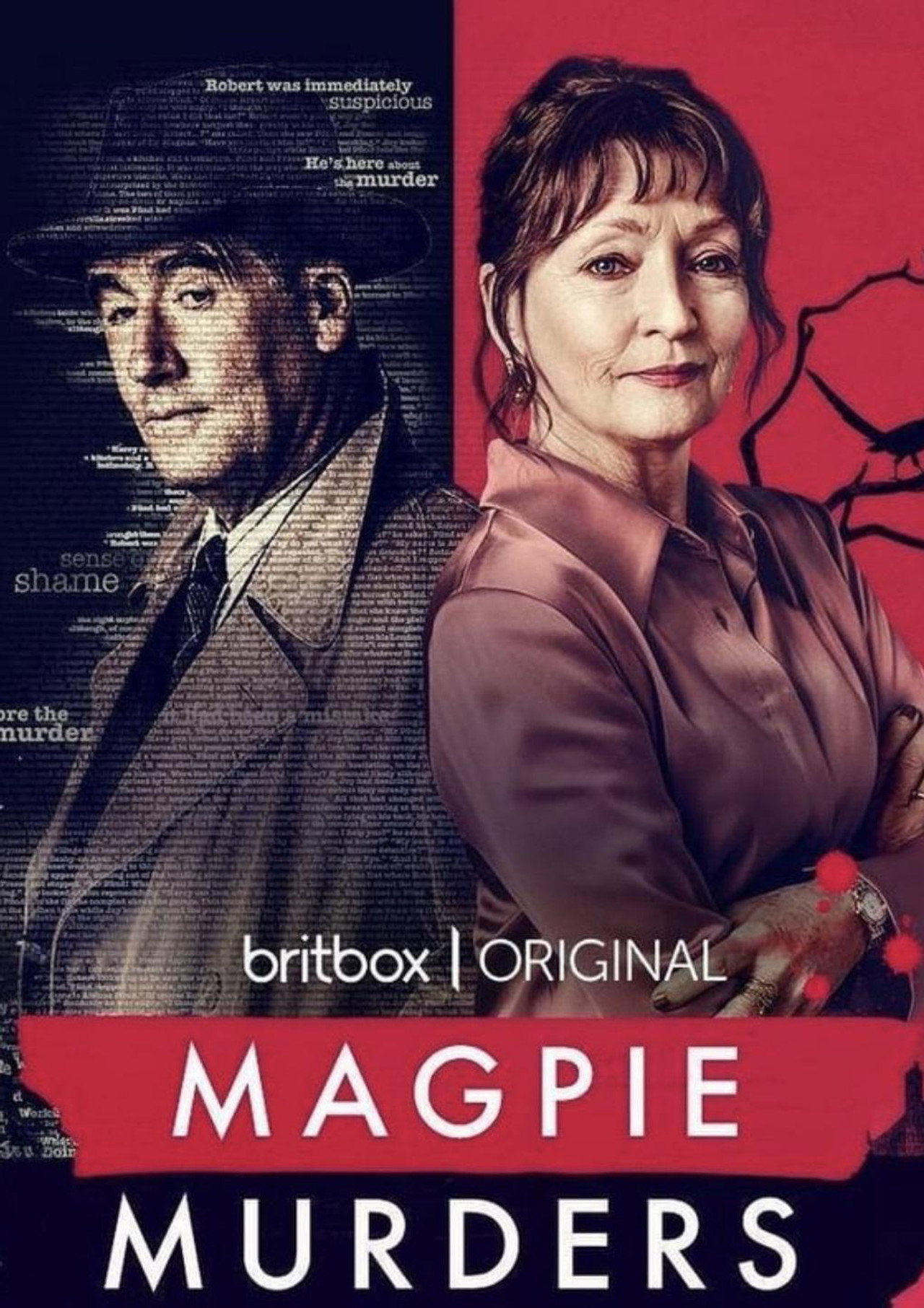 Pôster de Magpie Murders