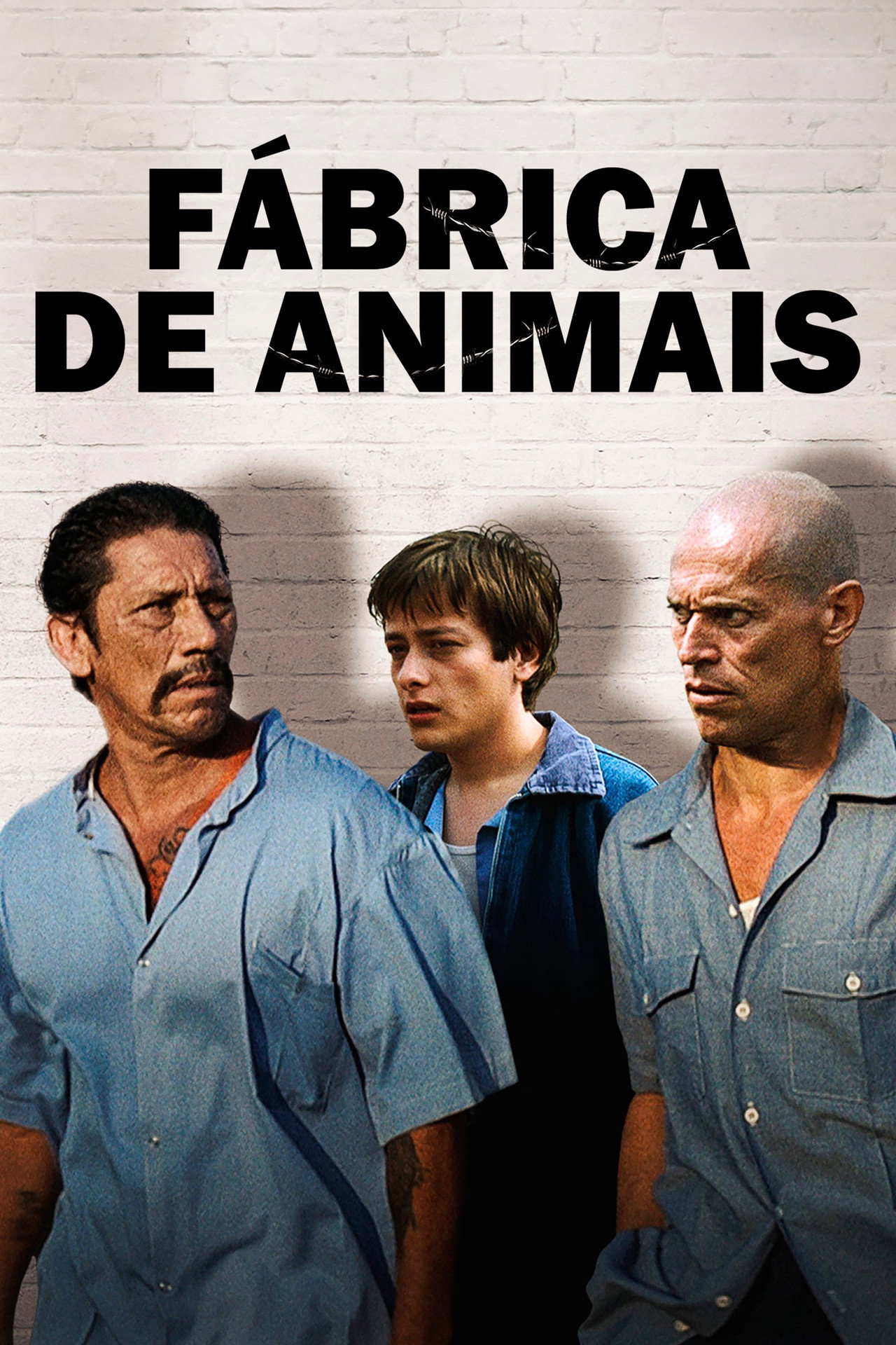 Pôster de Fábrica de Animais