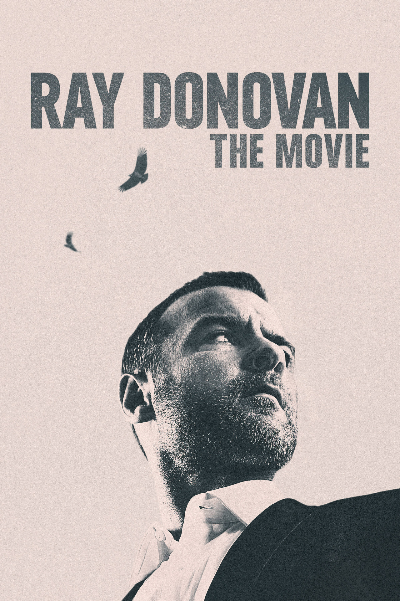 Pôster de Ray Donovan: O Filme