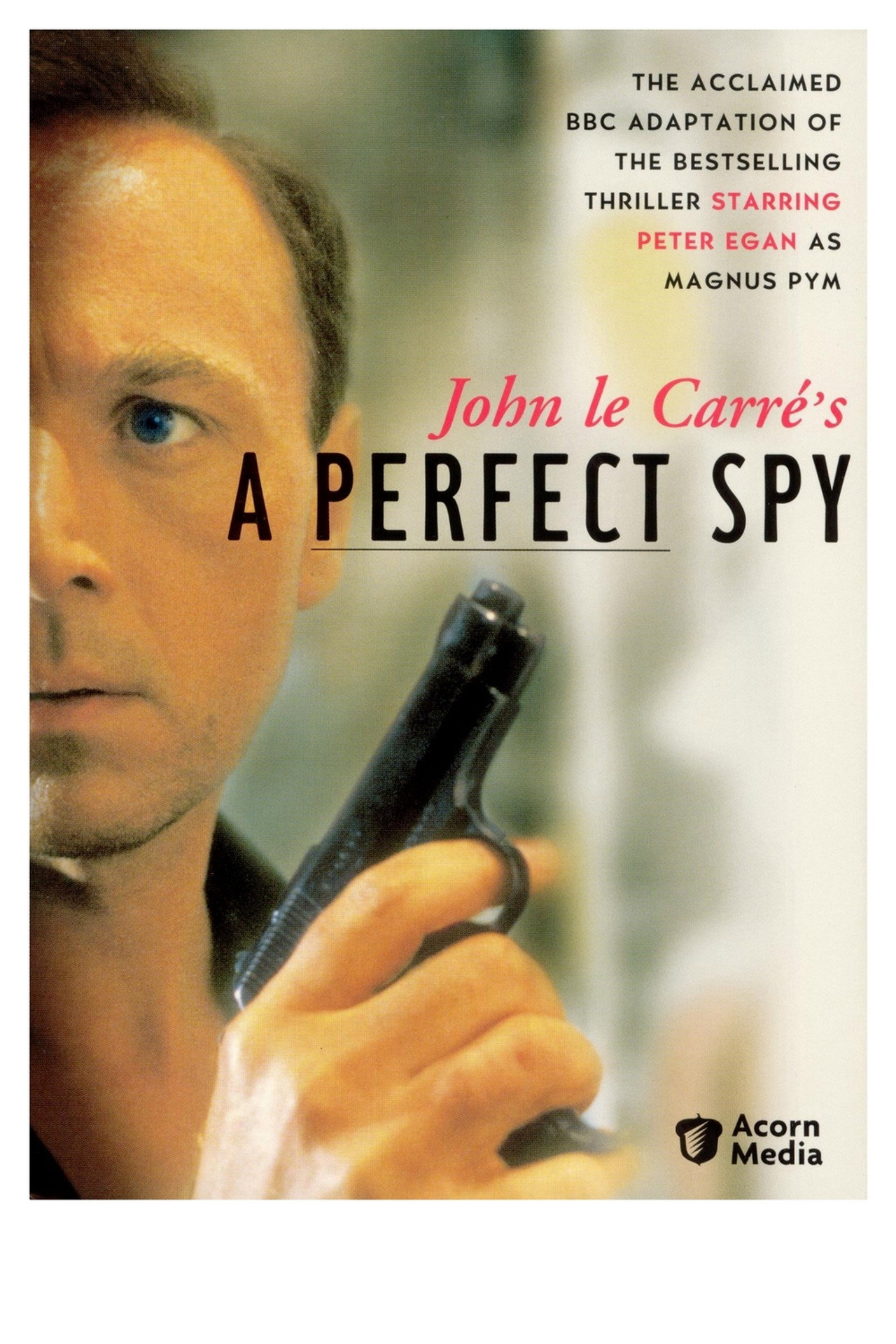 Pôster de A Perfect Spy