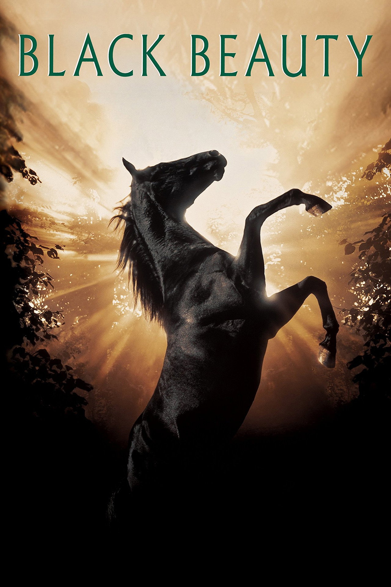 Pôster de Black Beauty