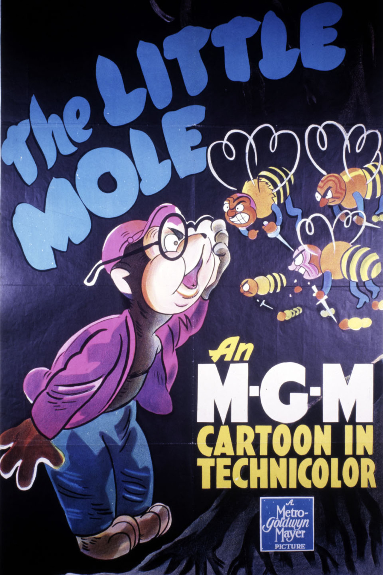 Pôster de The Little Mole
