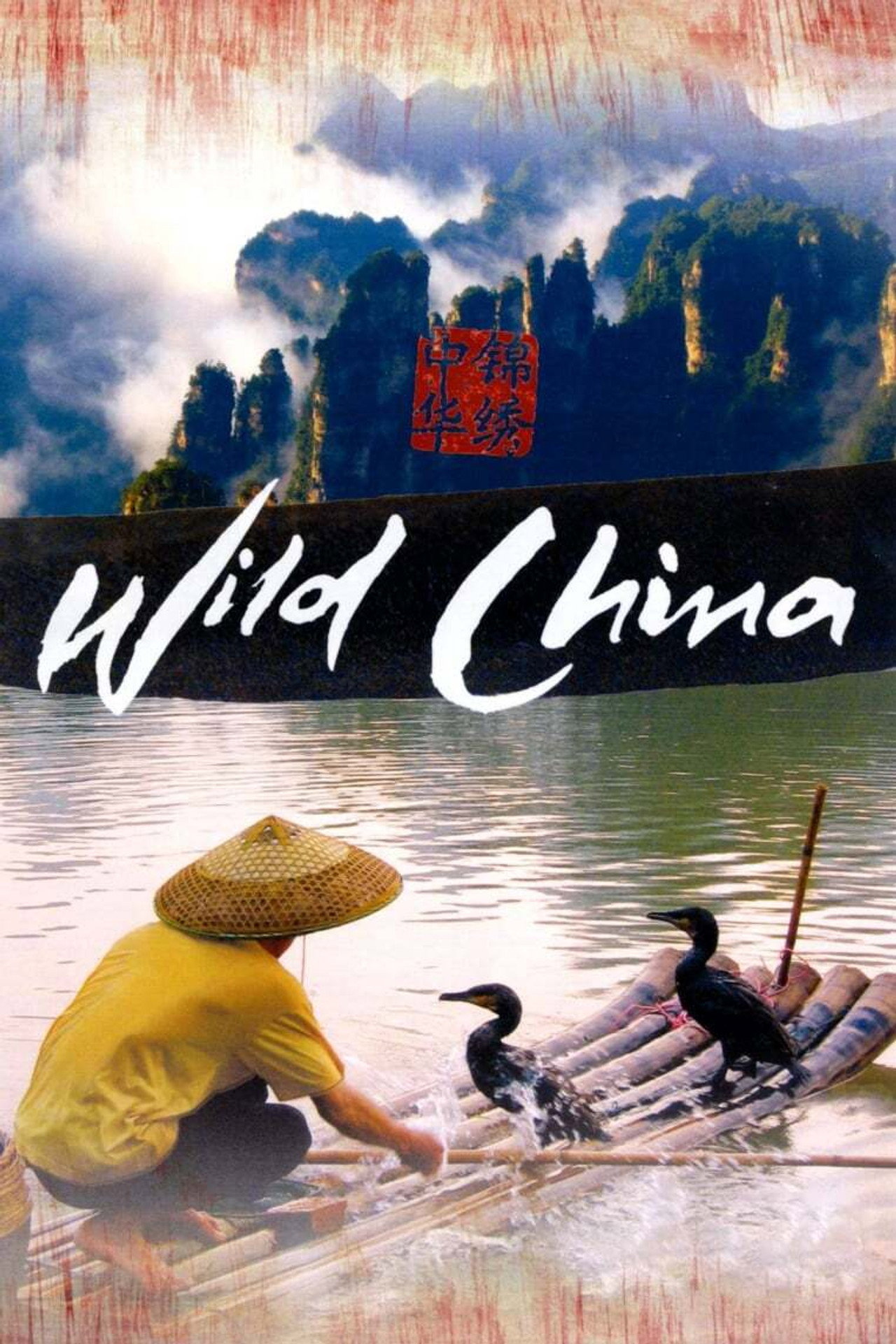 Pôster de Wild China