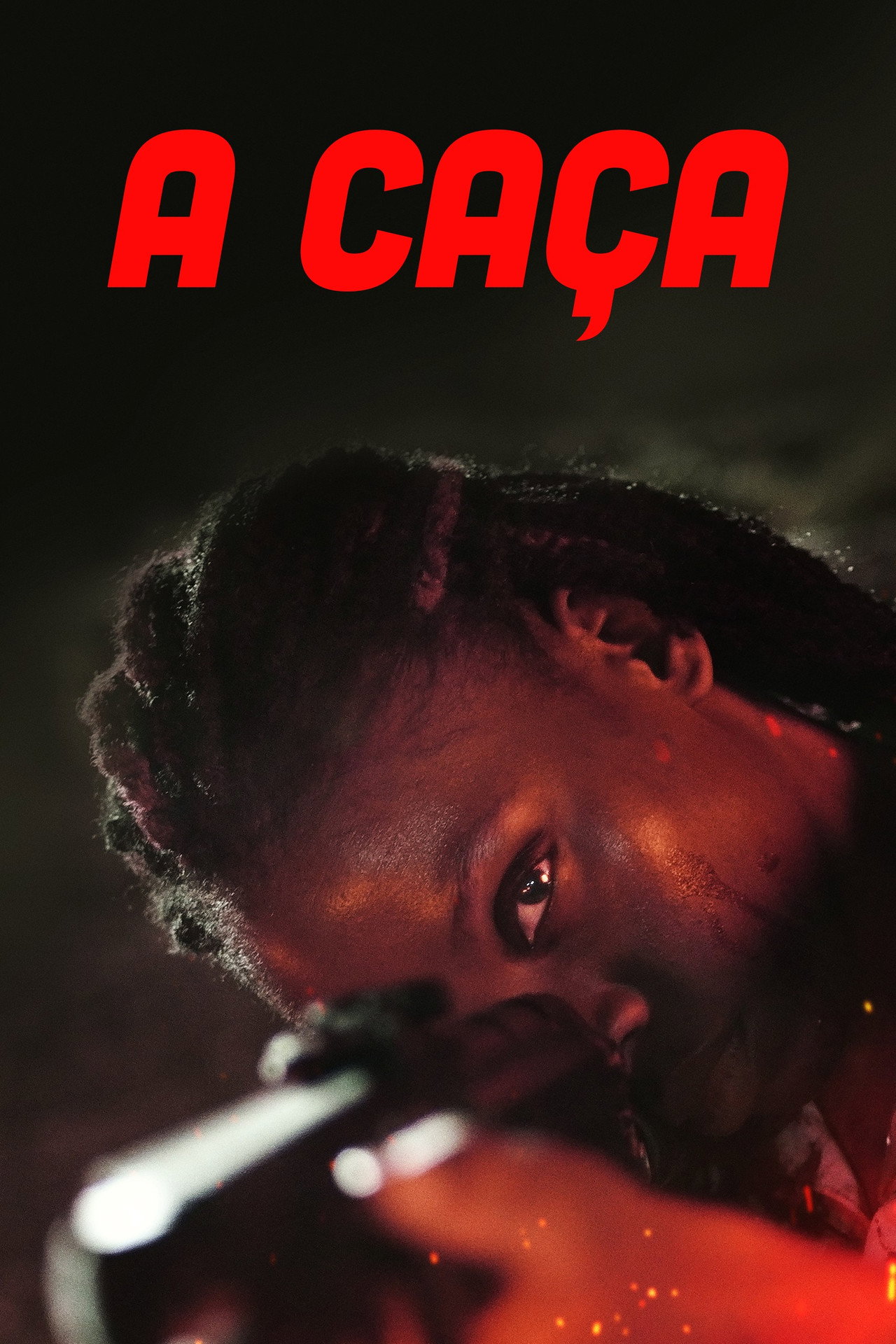 Pôster de A Caça