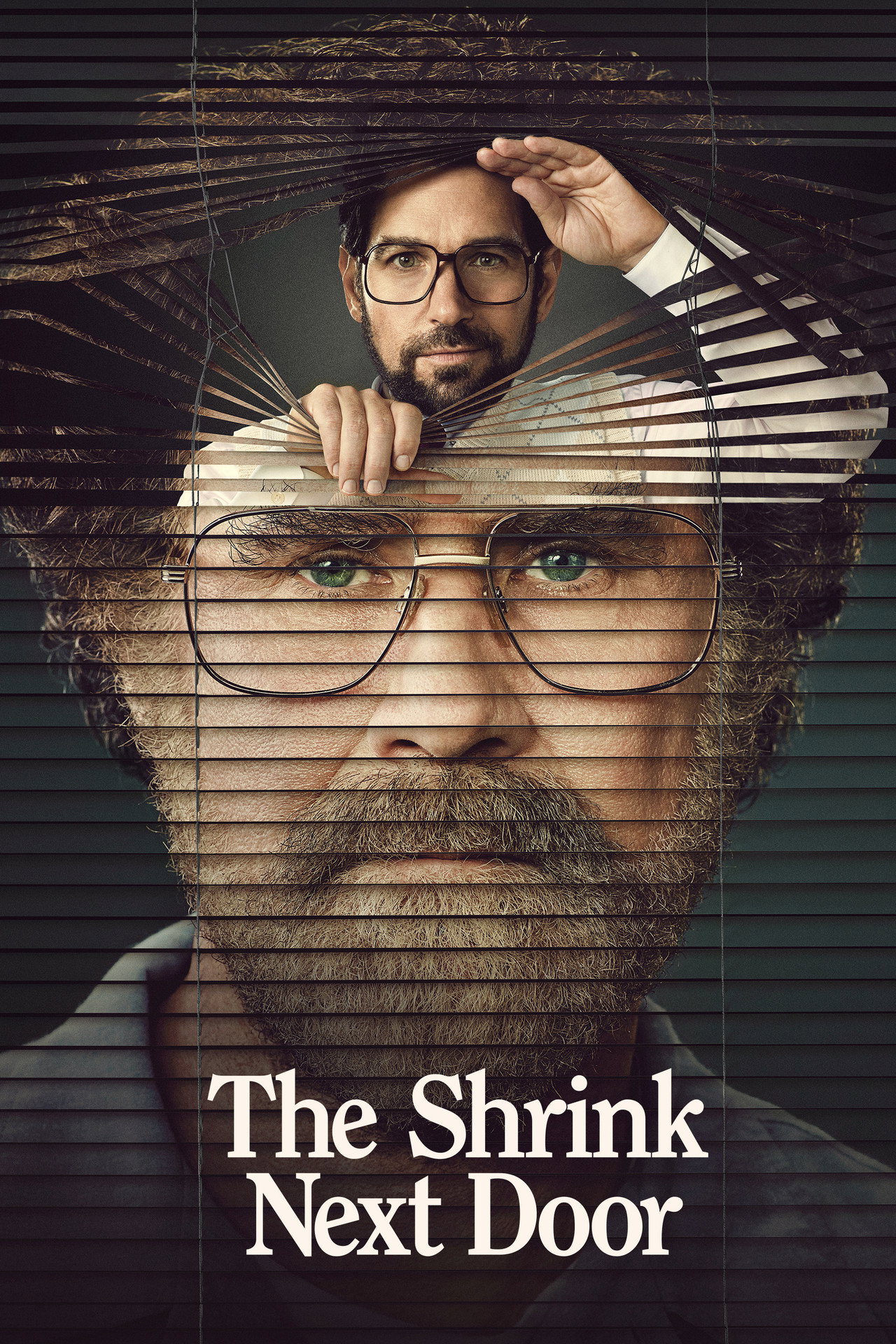 Pôster de The Shrink Next Door