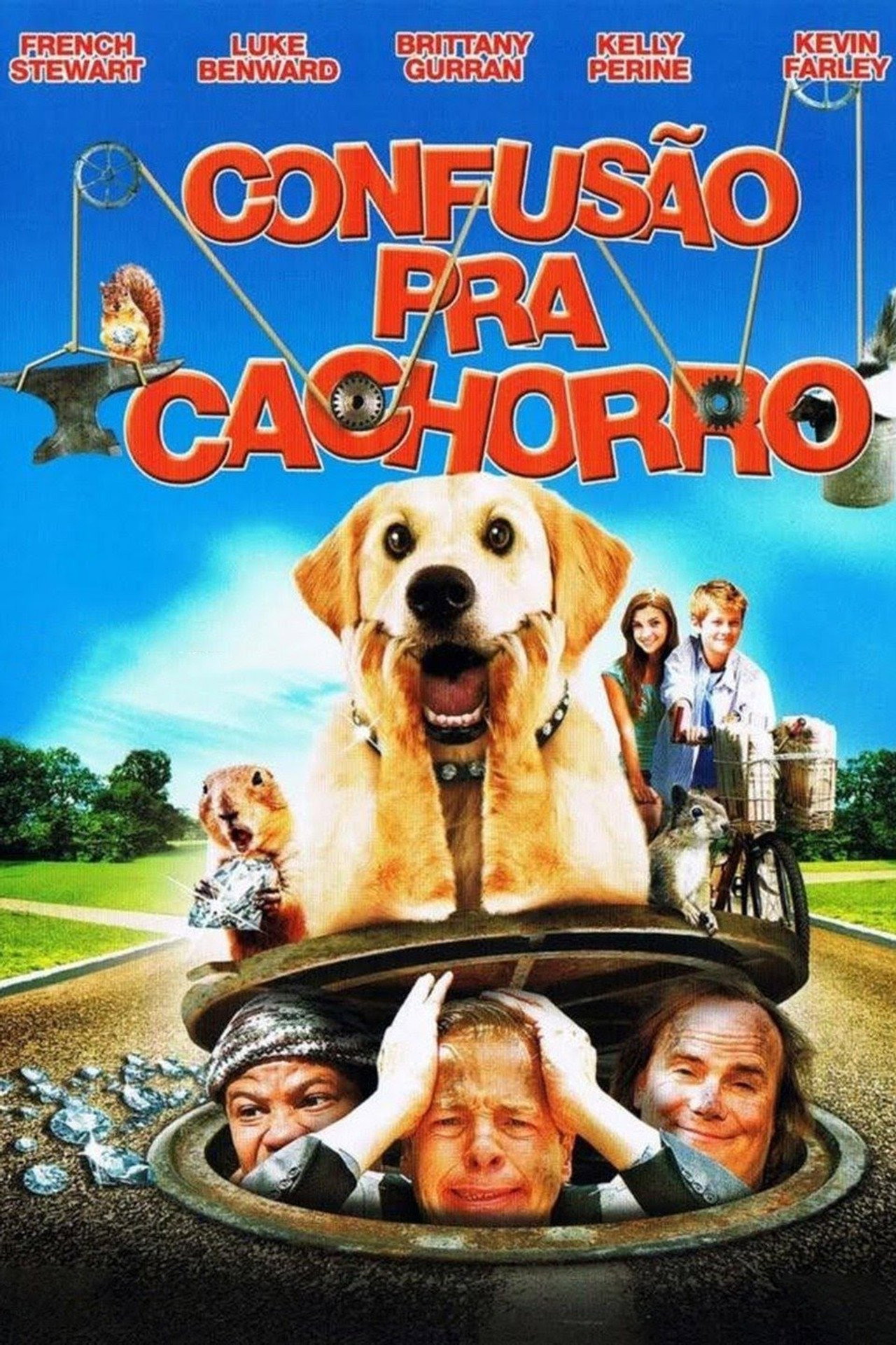 Pôster de Confusão Pra Cachorro