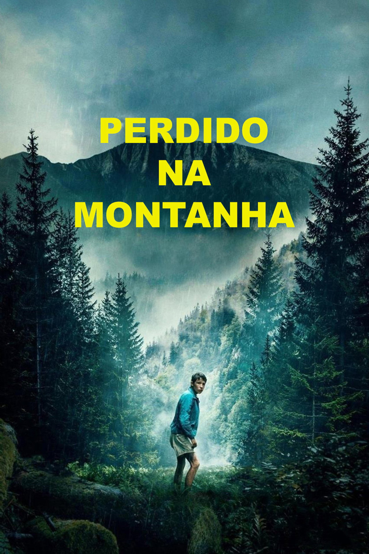 Pôster de Perdido na Montanha