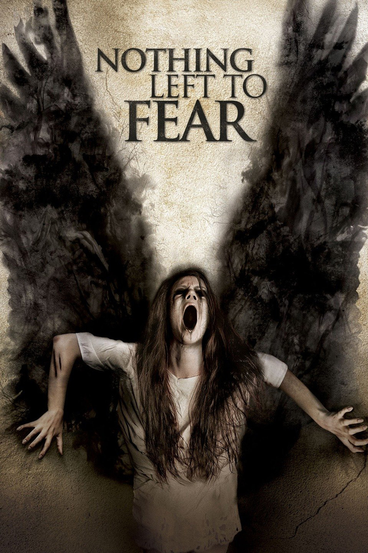 Pôster de Nothing Left to Fear