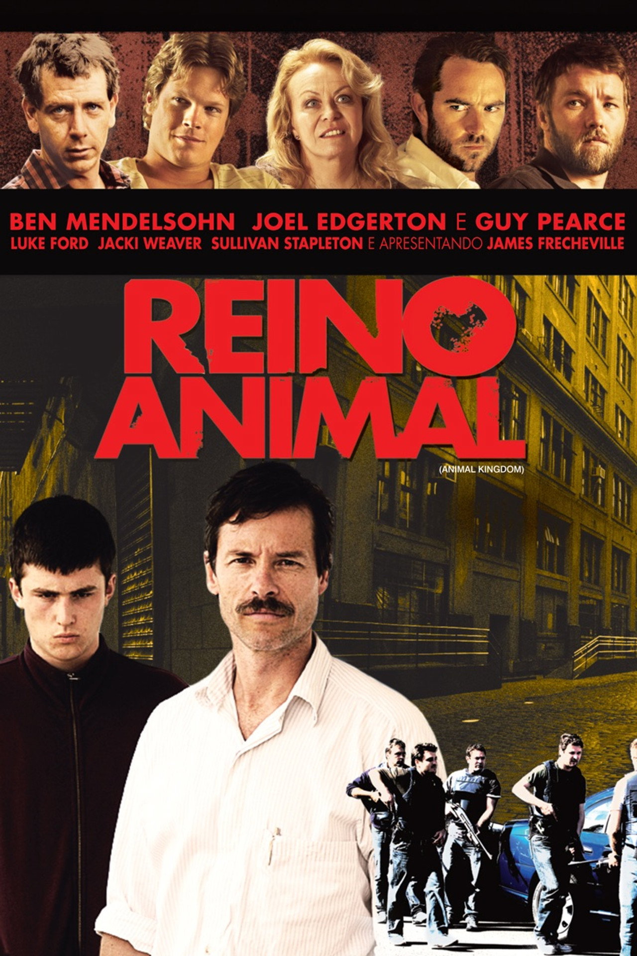 Pôster de Reino Animal