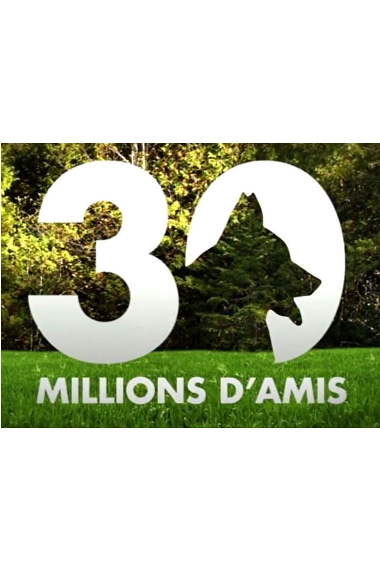 Pôster de 30 millions d'amis