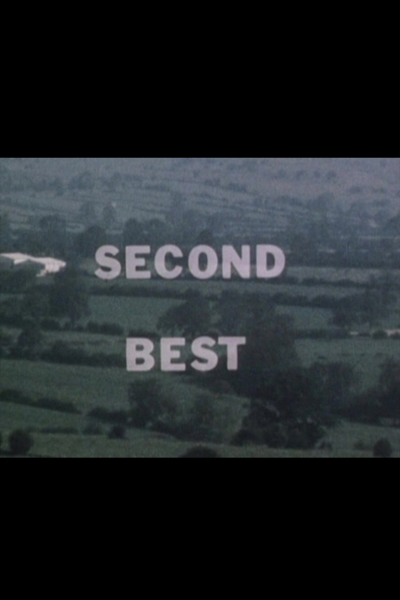 Pôster de Second Best