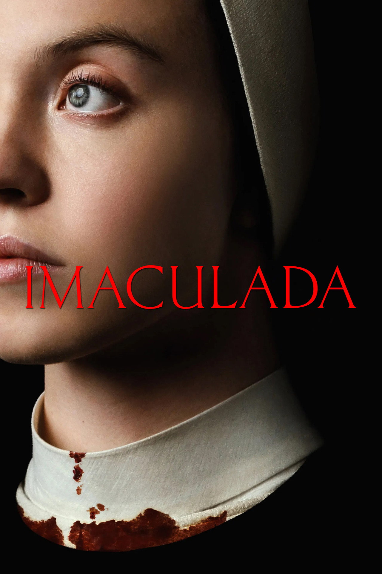 Pôster de Imaculada