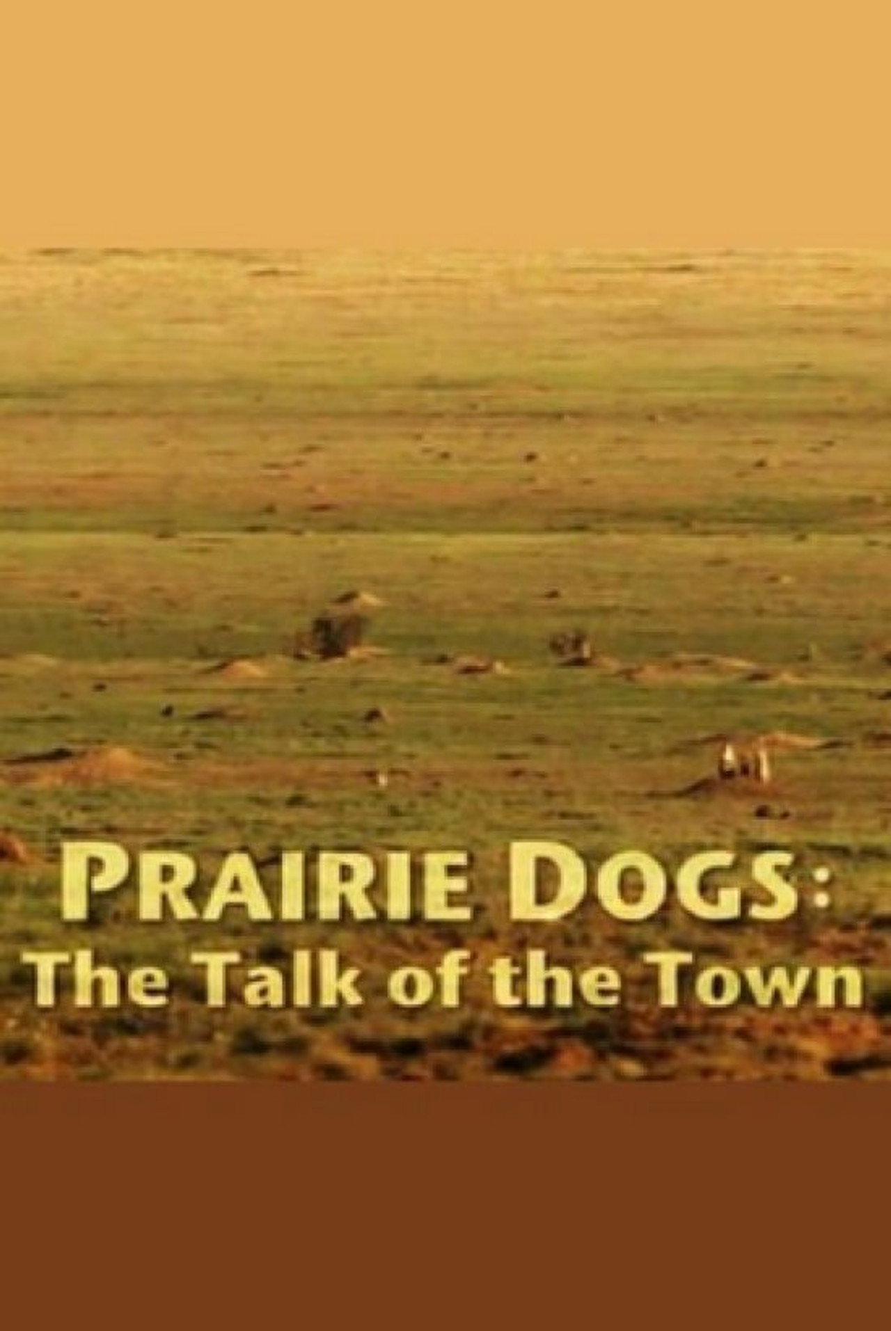 Pôster de Prairie Dogs: Talk of the Town
