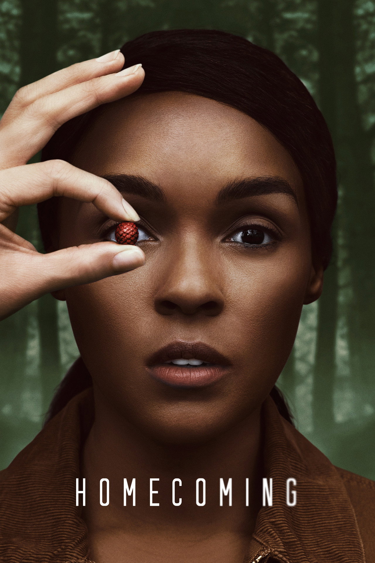 Pôster de Homecoming: De Volta à Pátria