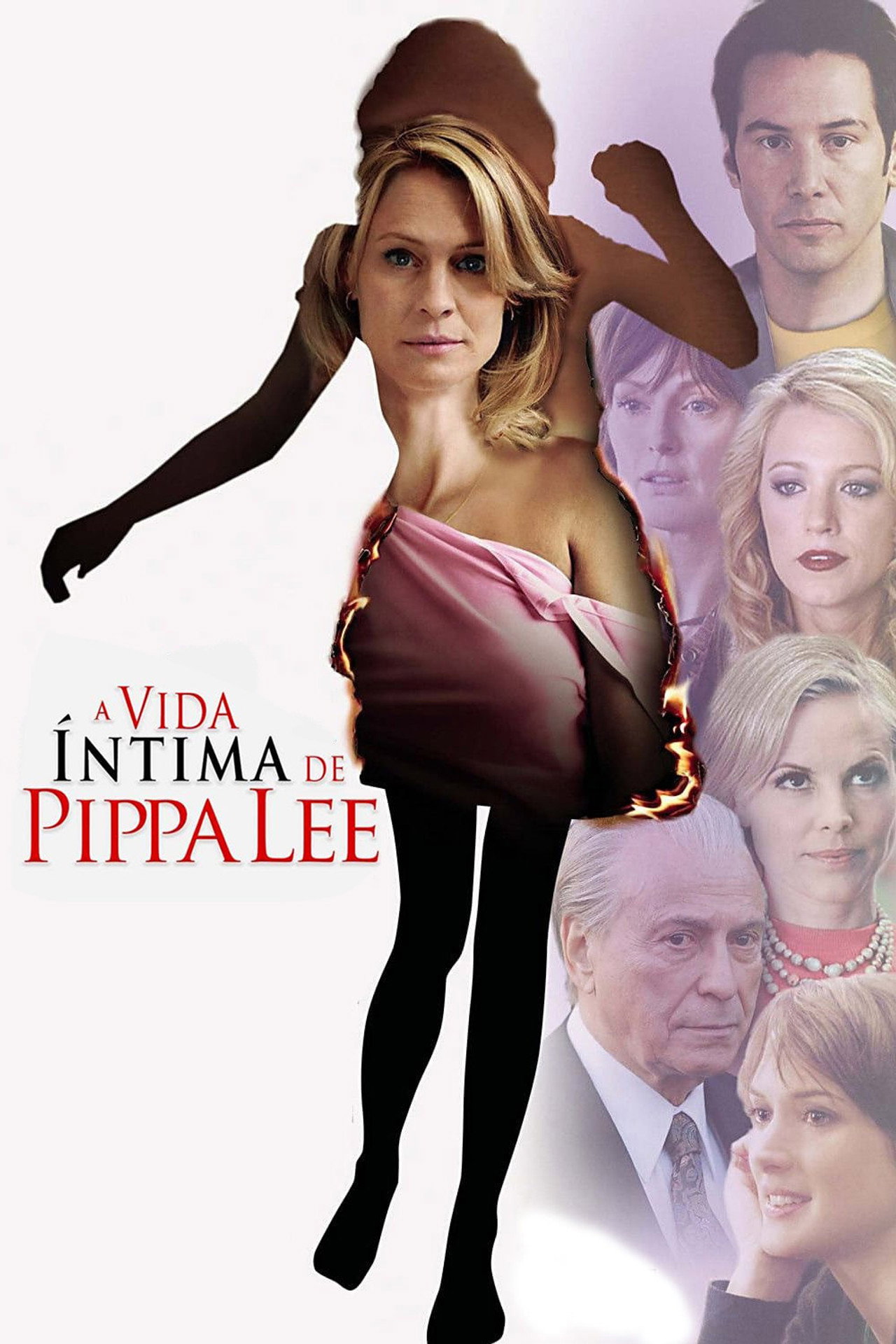 Pôster de Vidas Cruzadas: A Vida Íntima de Pippa Lee