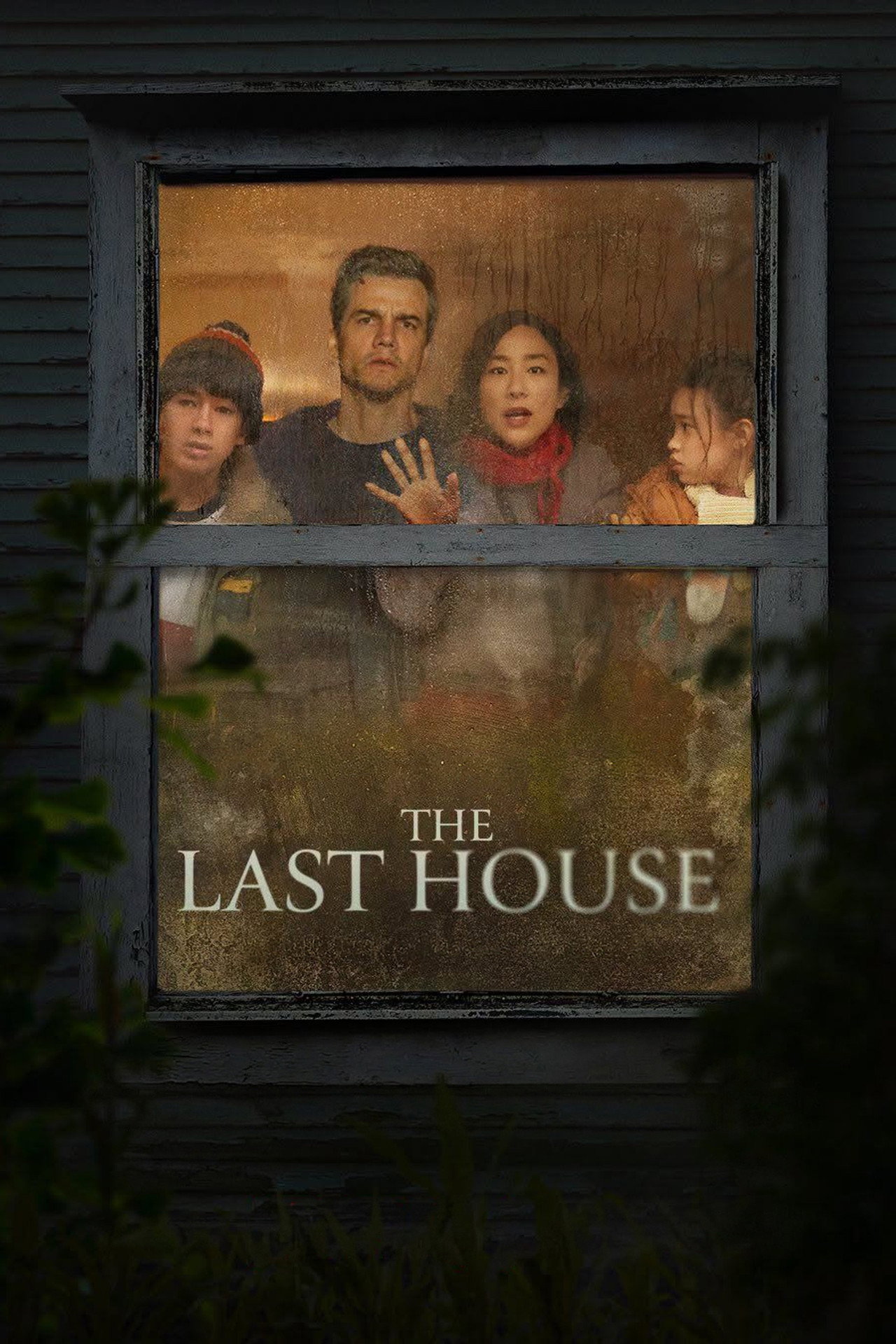 Pôster de The Last House