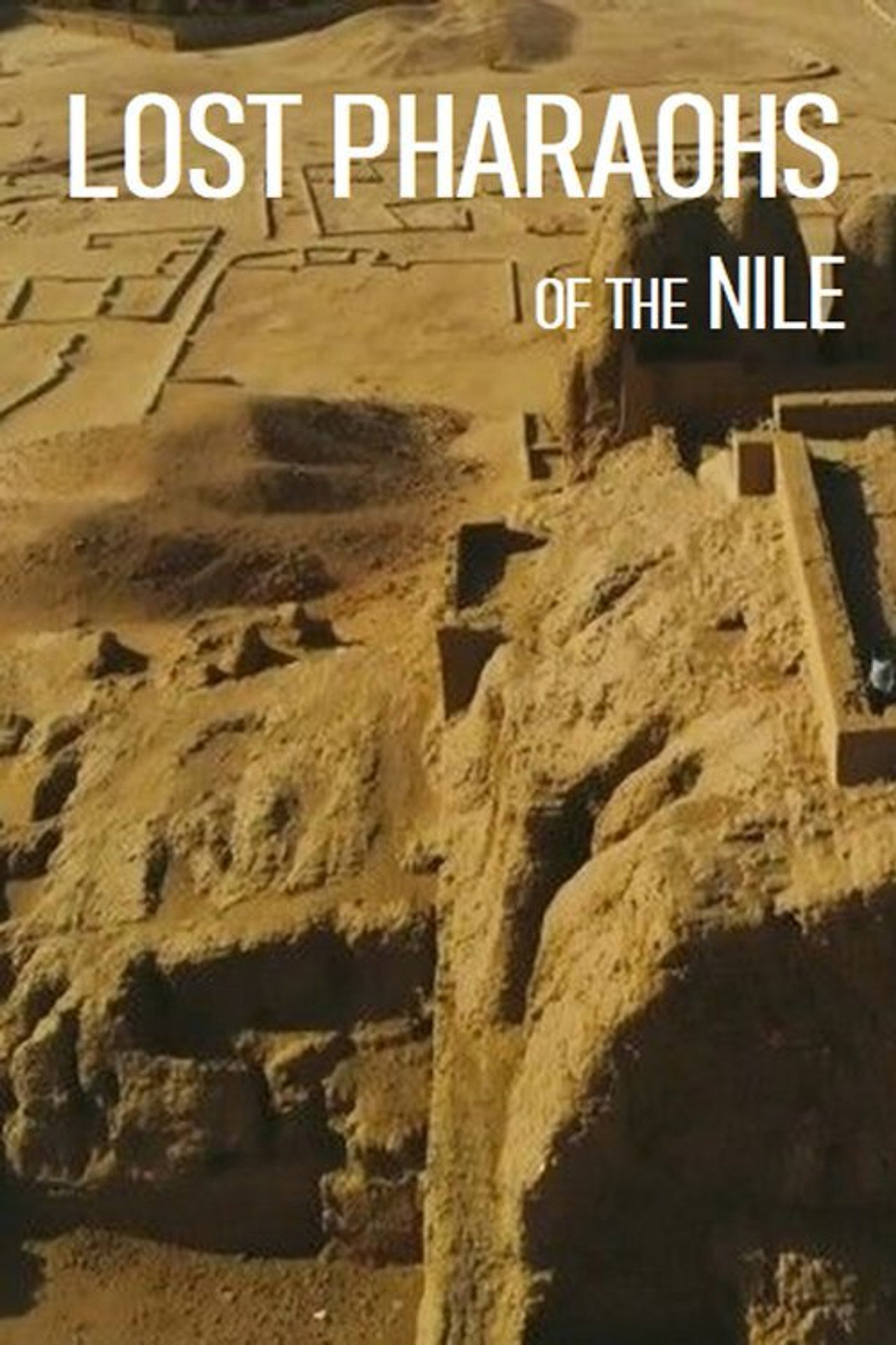 Pôster de Lost Pharaohs of the Nile