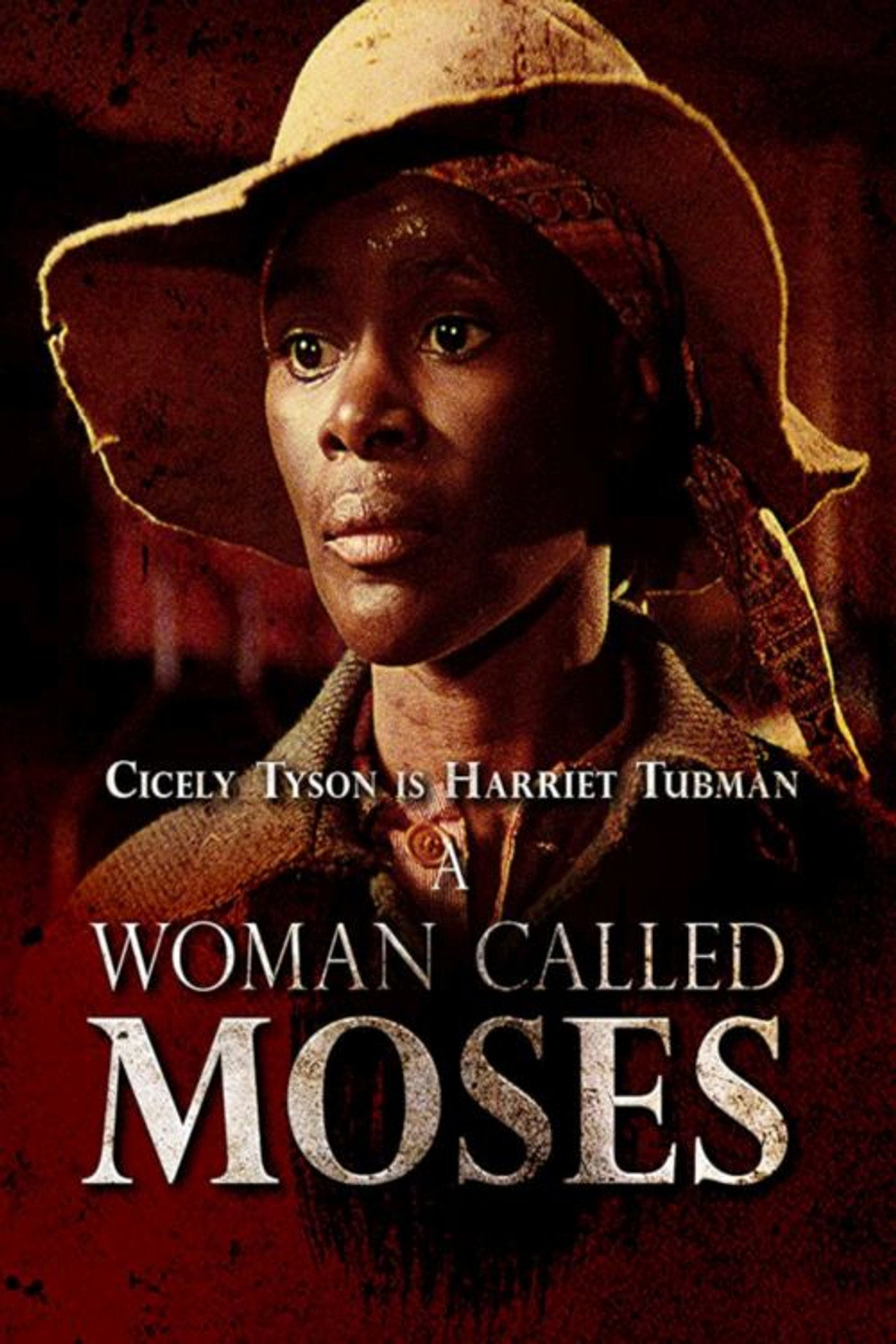 Pôster de A Woman Called Moses