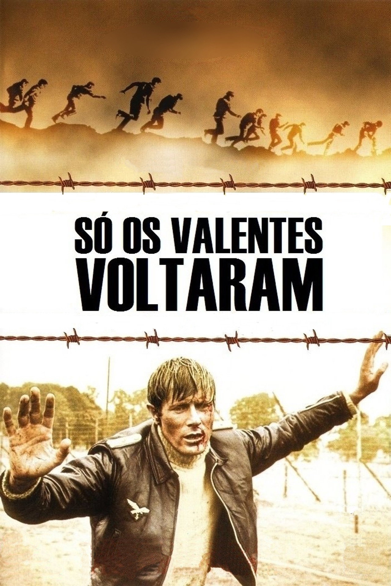 Pôster de Só os Valentes Voltaram