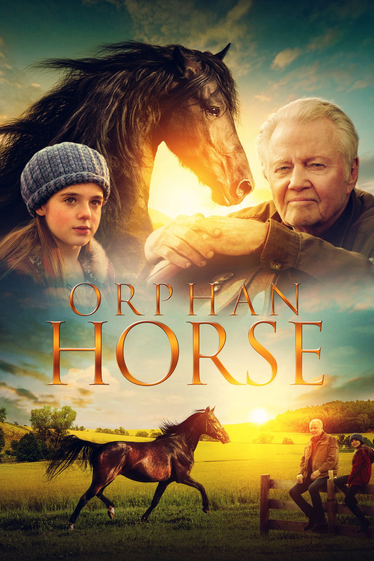 Pôster de Orphan Horse