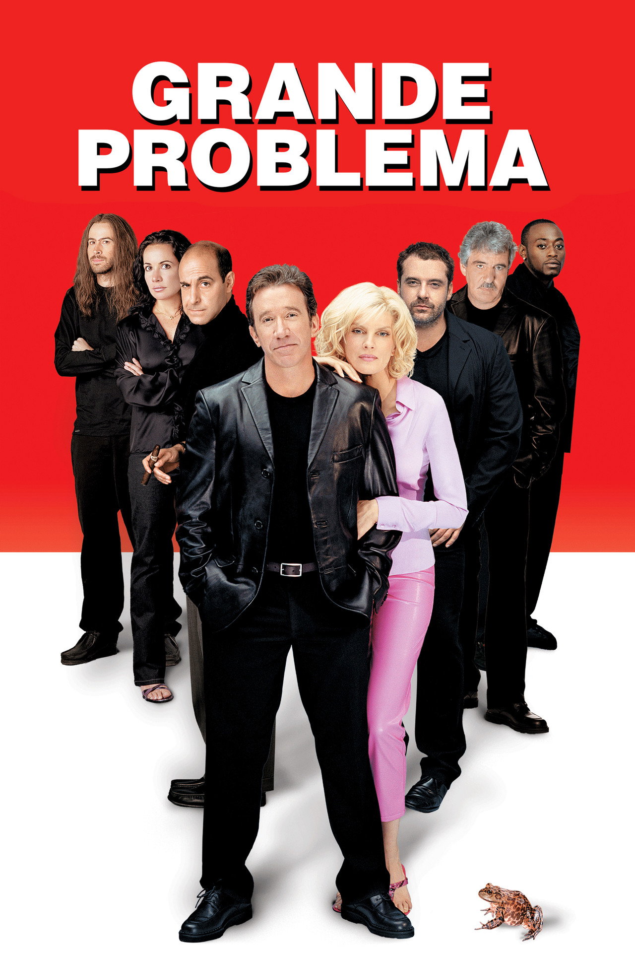 Pôster de Grande Problema