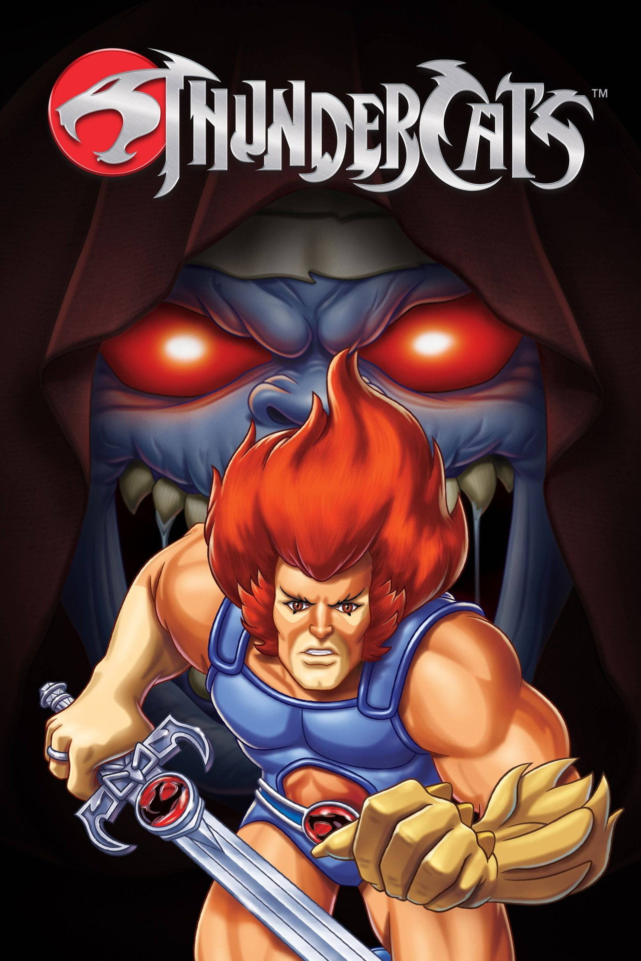 Pôster de ThunderCats