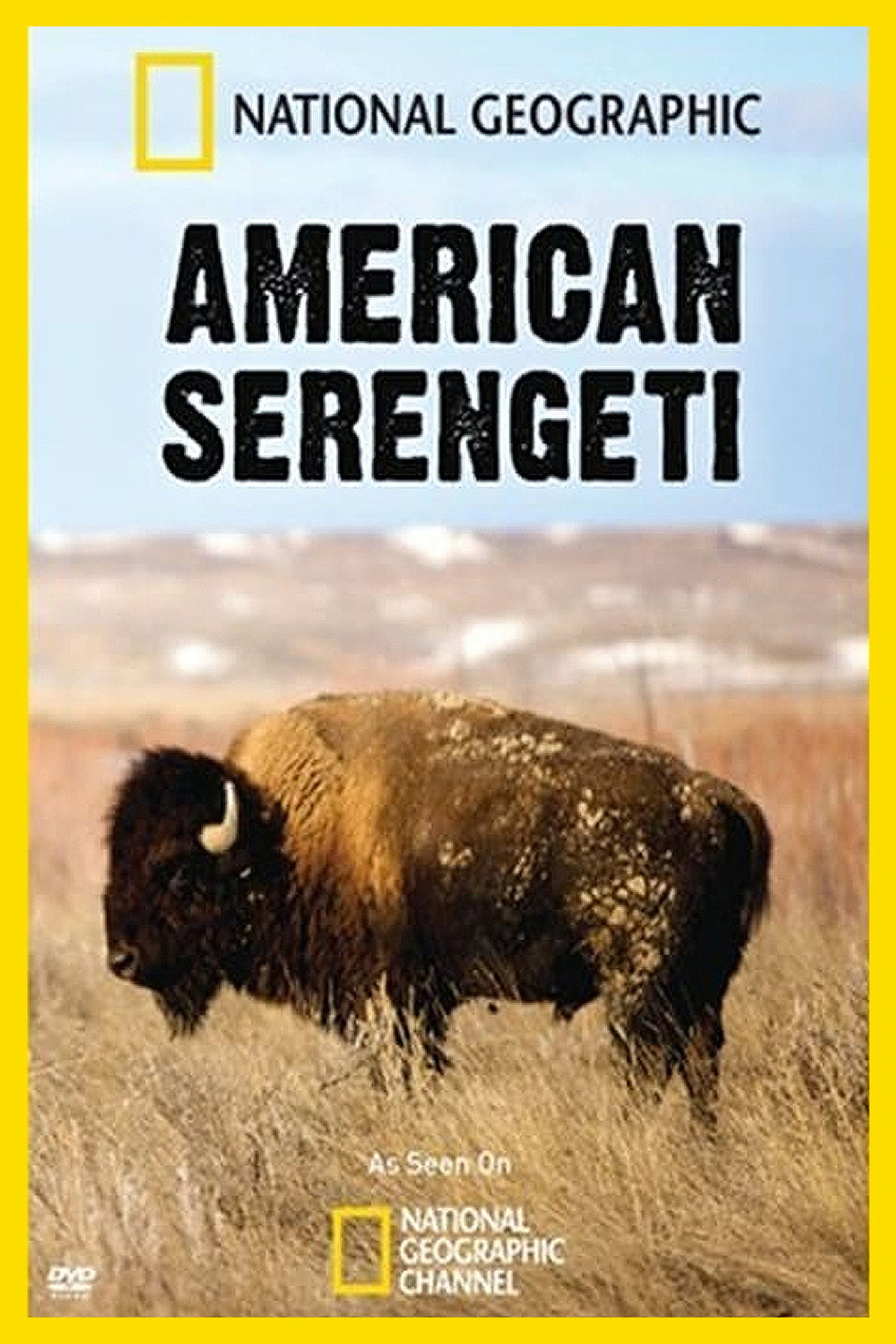 Pôster de American Serengeti