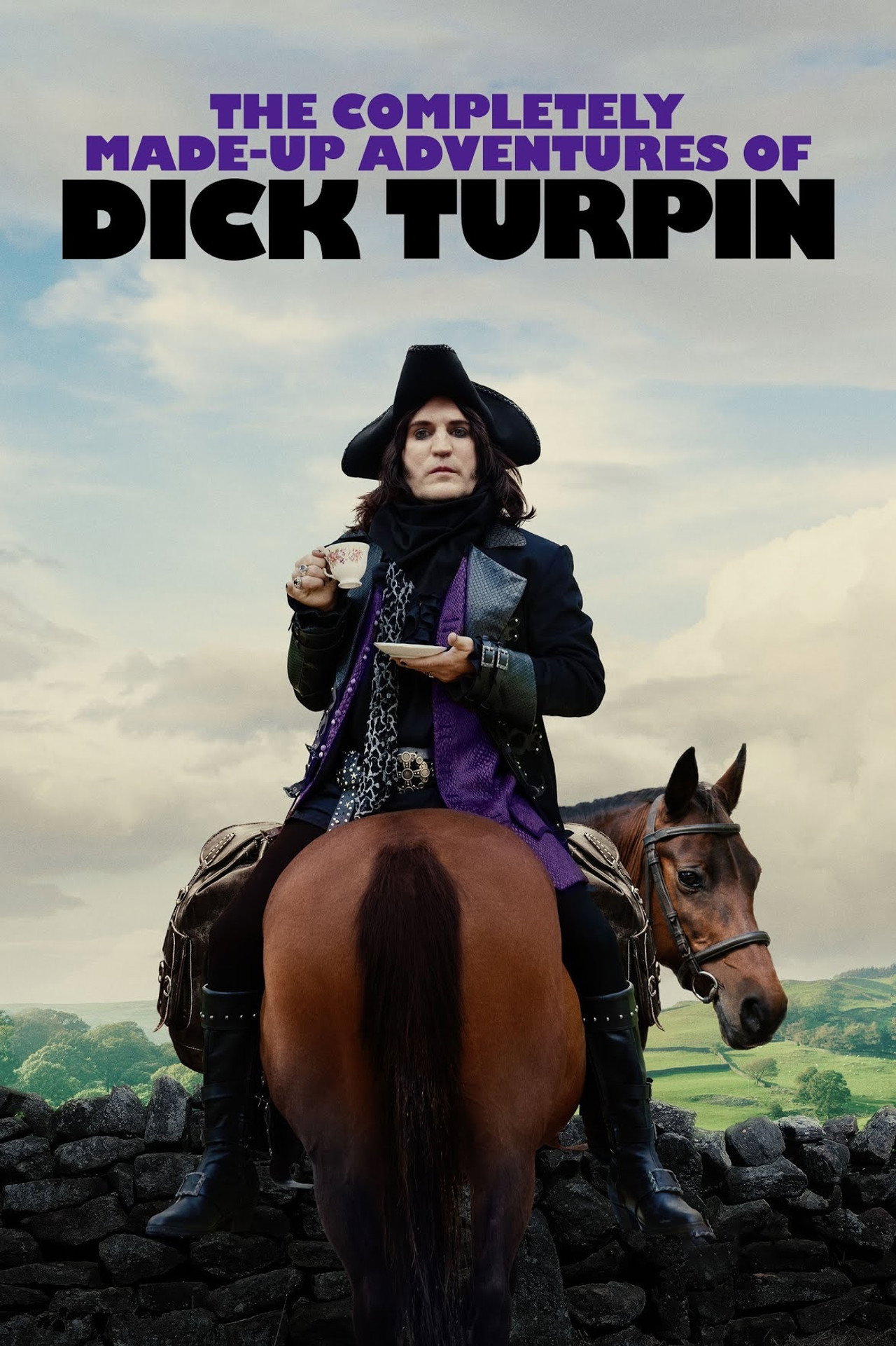 Pôster de The Completely Made-Up Adventures of Dick Turpin