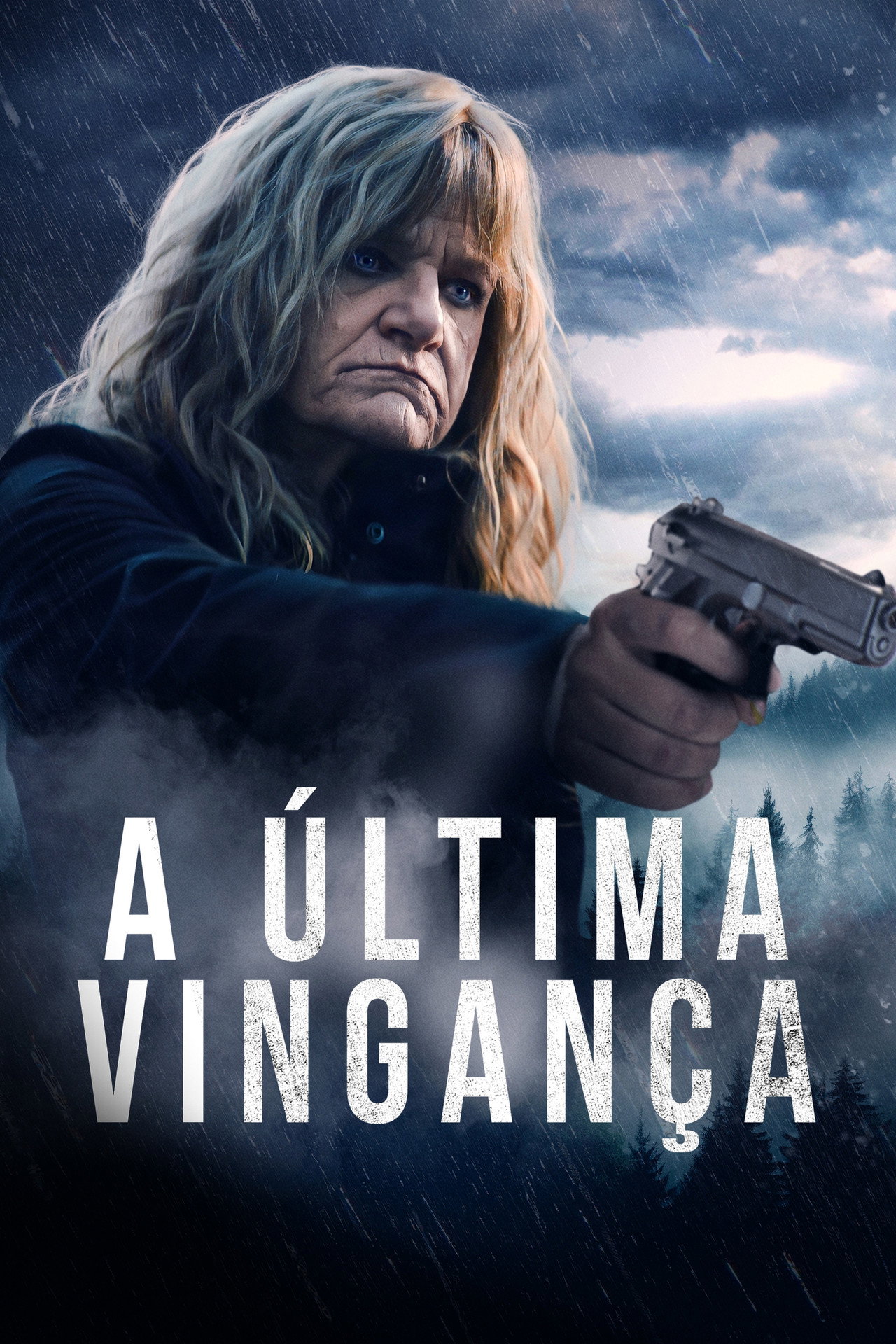Pôster de A Última Vingança