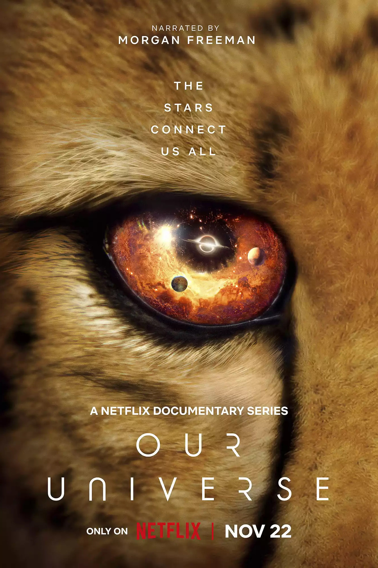 Pôster de Our Universe