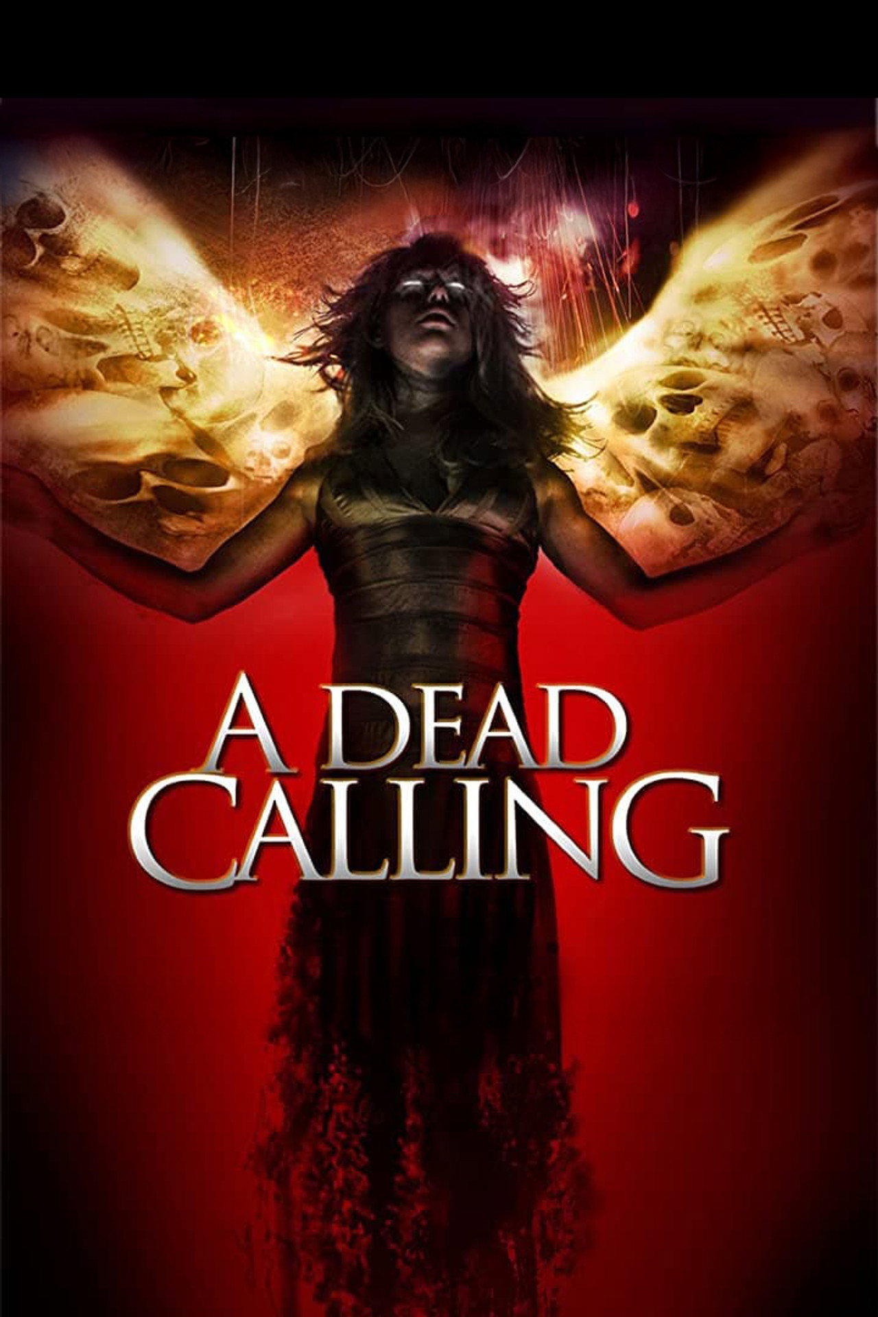 Pôster de A Dead Calling