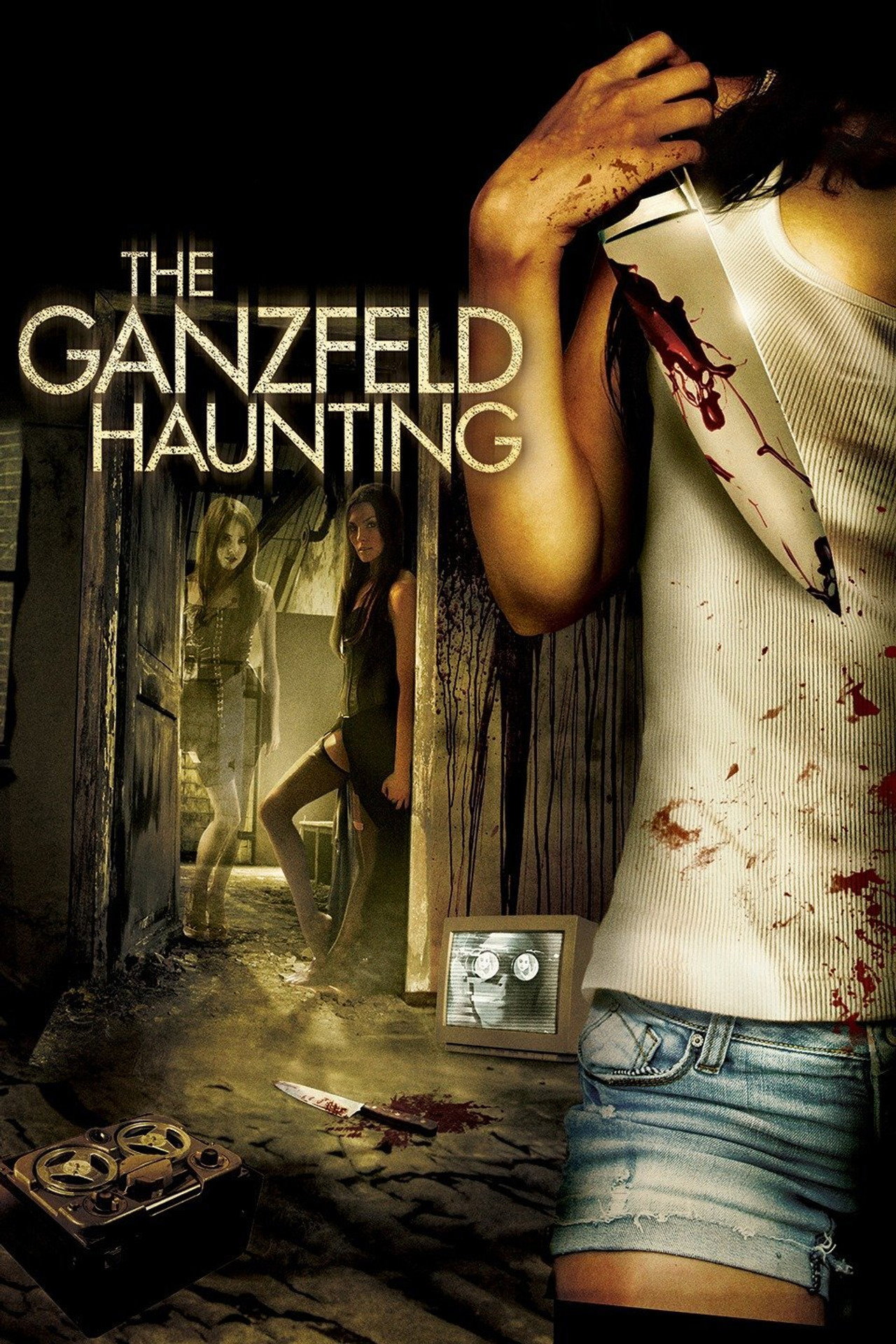 Pôster de The Ganzfeld Haunting
