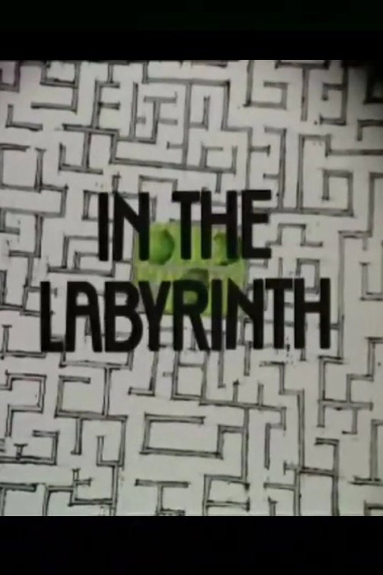 Pôster de In the Labyrinth