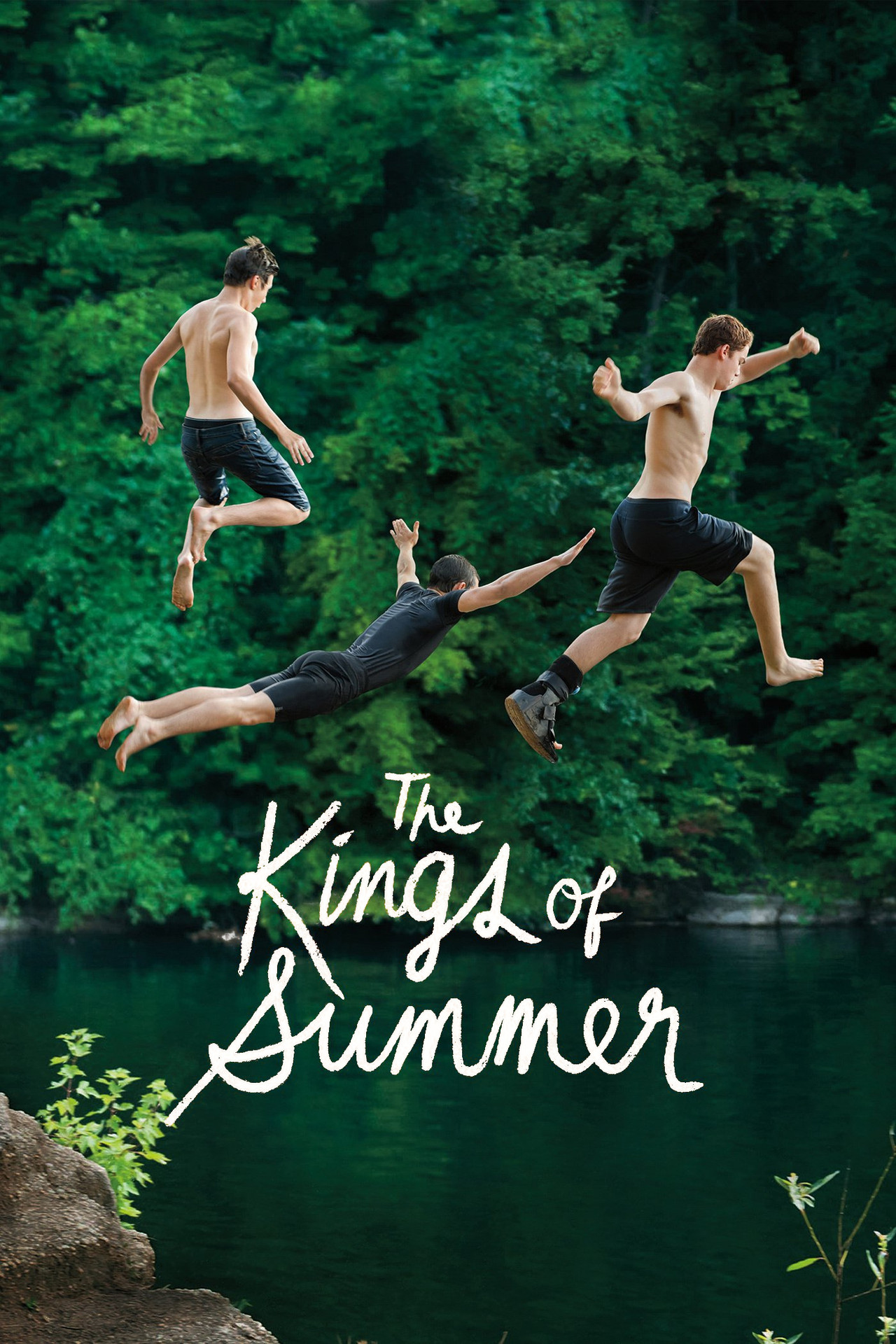 Pôster de The Kings of Summer