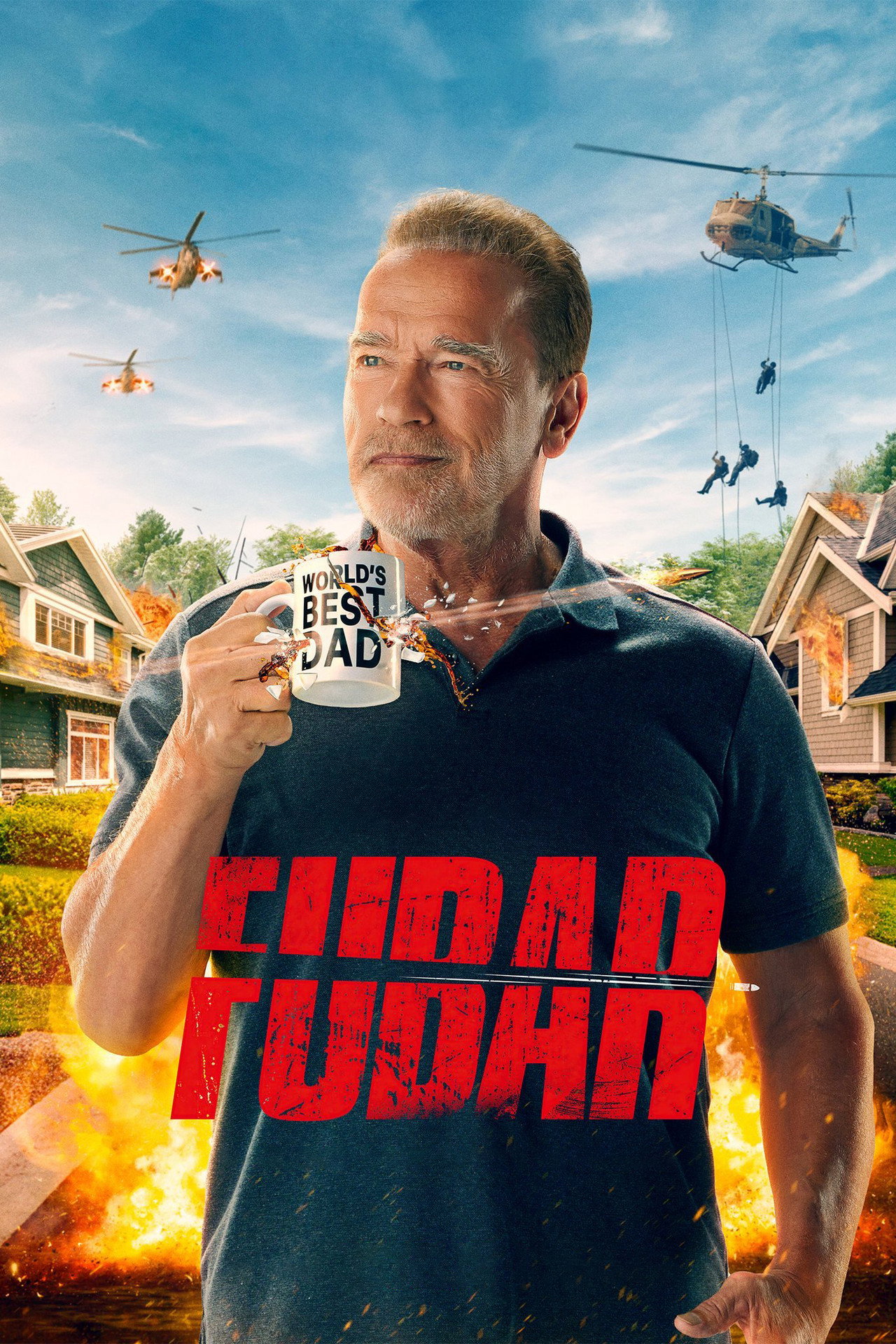 Pôster de FUBAR