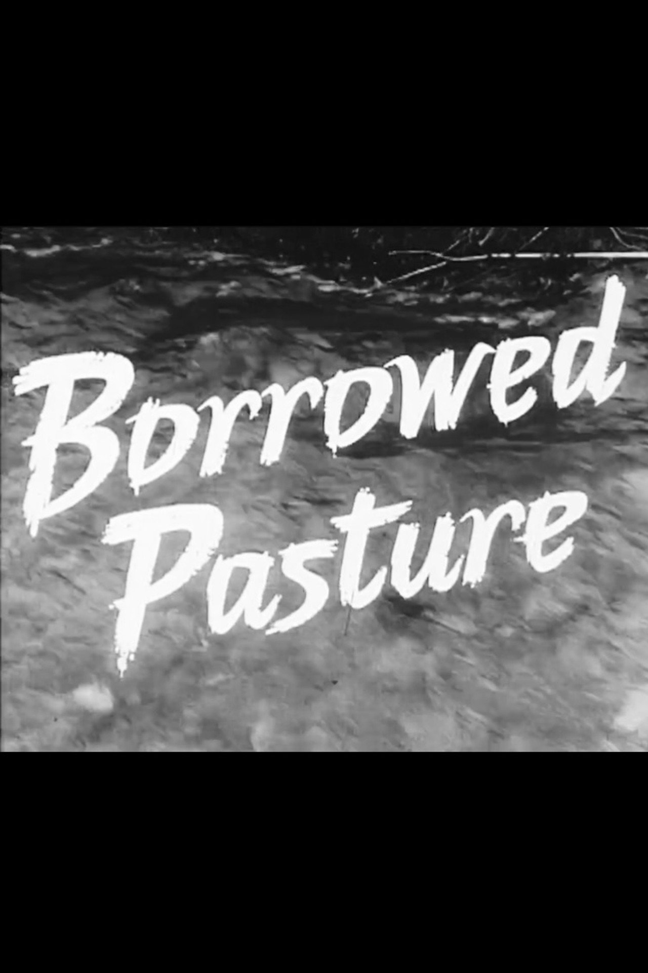 Pôster de Borrowed Pasture