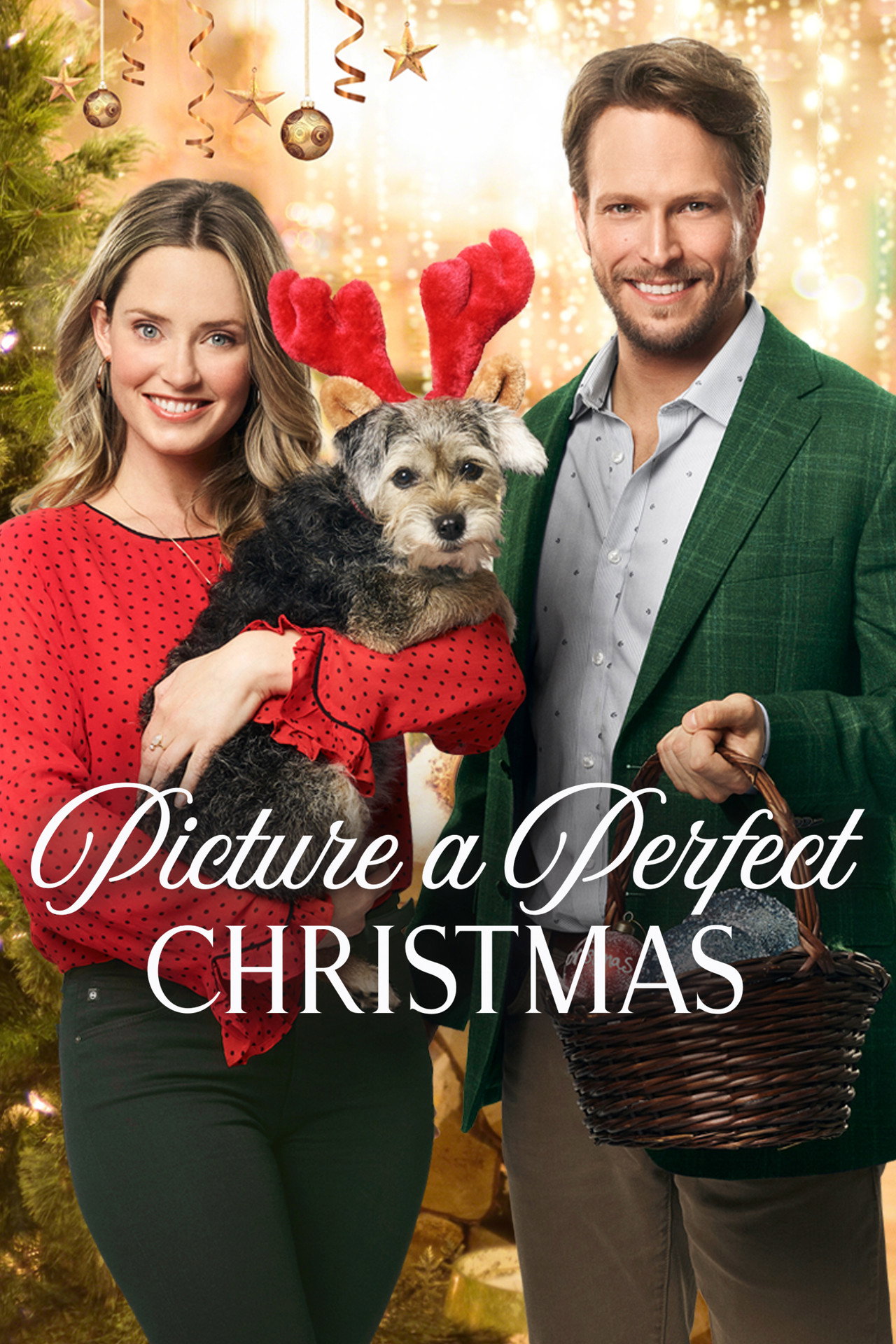 Pôster de Picture a Perfect Christmas