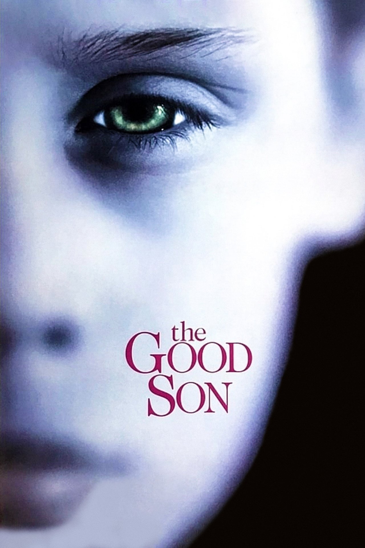 Pôster de The Good Son