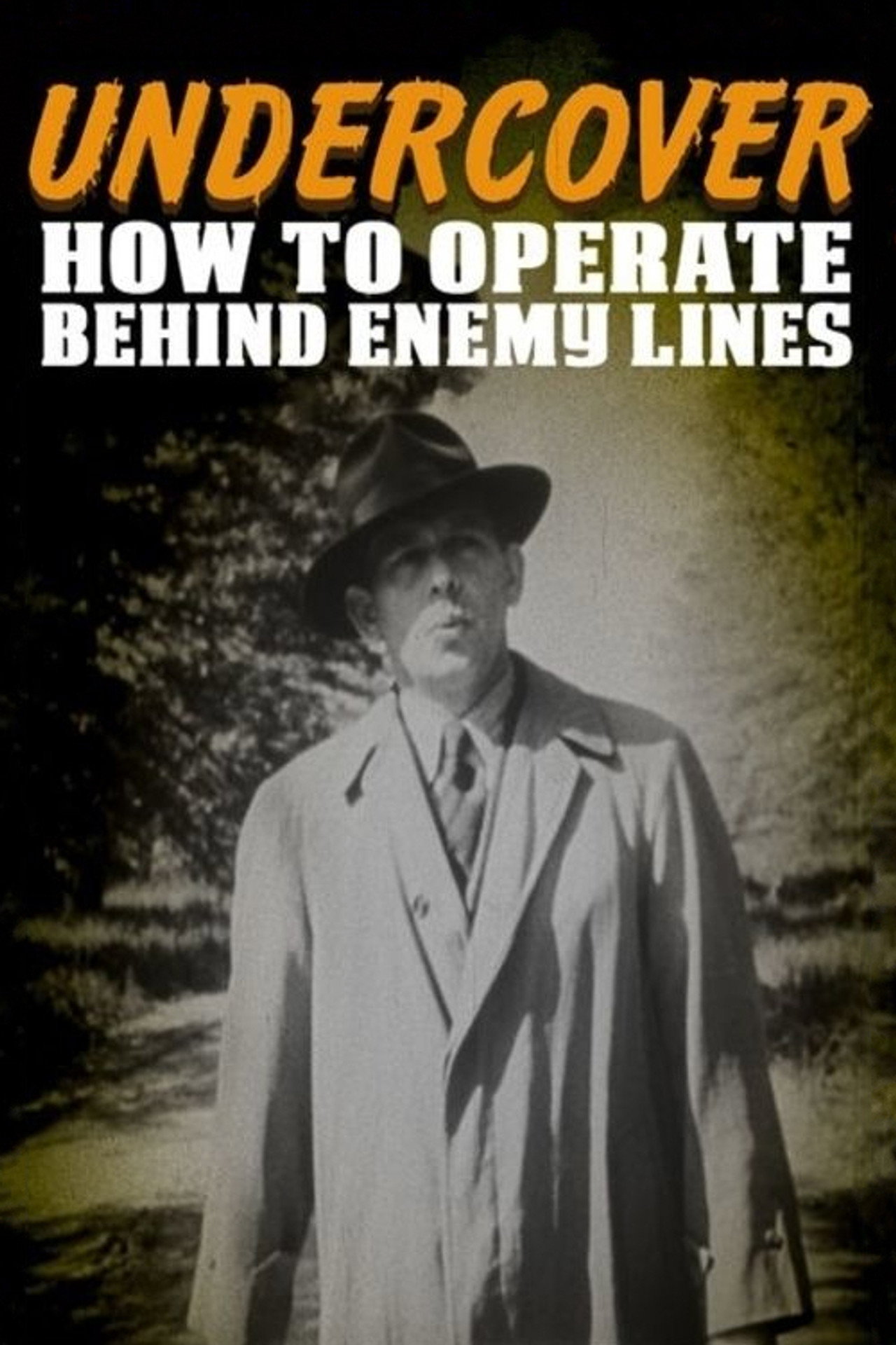 Pôster de Undercover: How to Operate Behind Enemy Lines