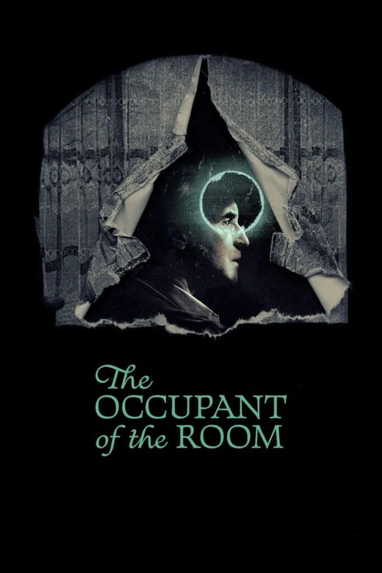 Pôster de The Occupant of the Room