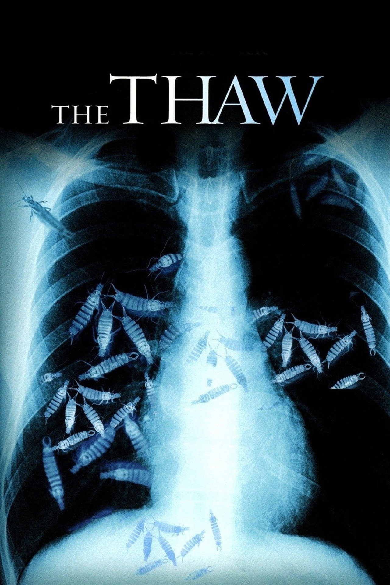 Pôster de The Thaw