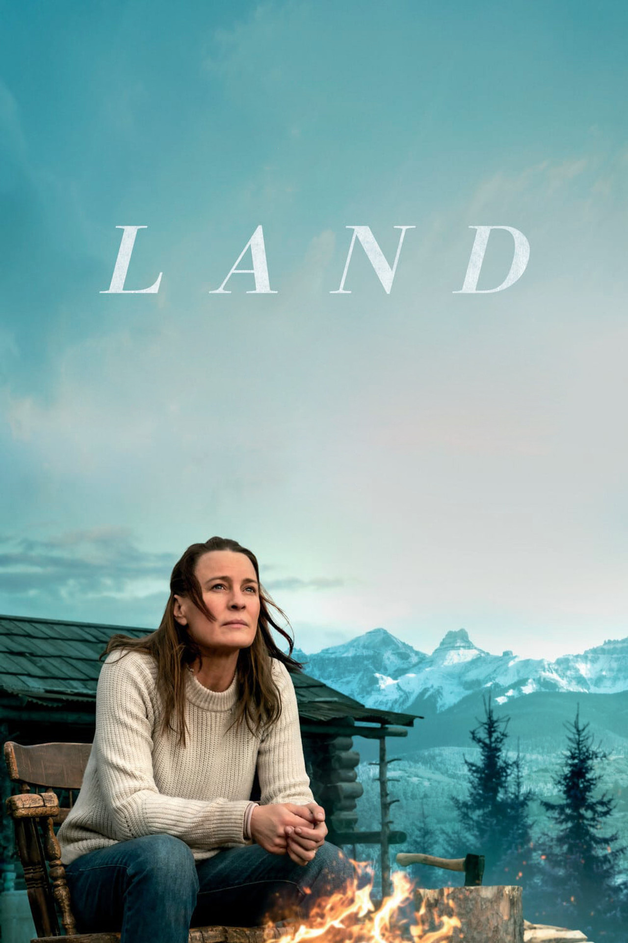 Pôster de Land