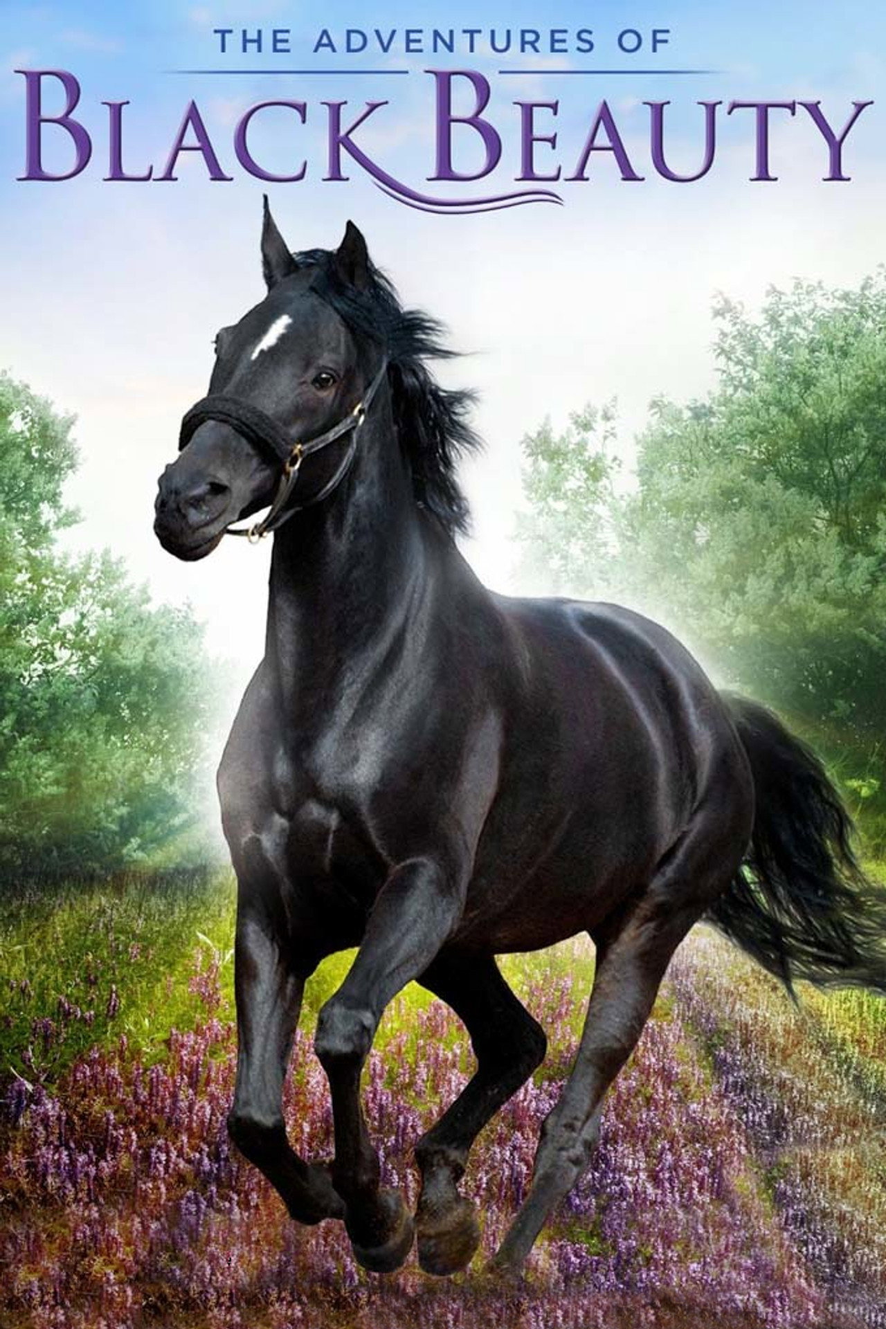 Pôster de The Adventures of Black Beauty